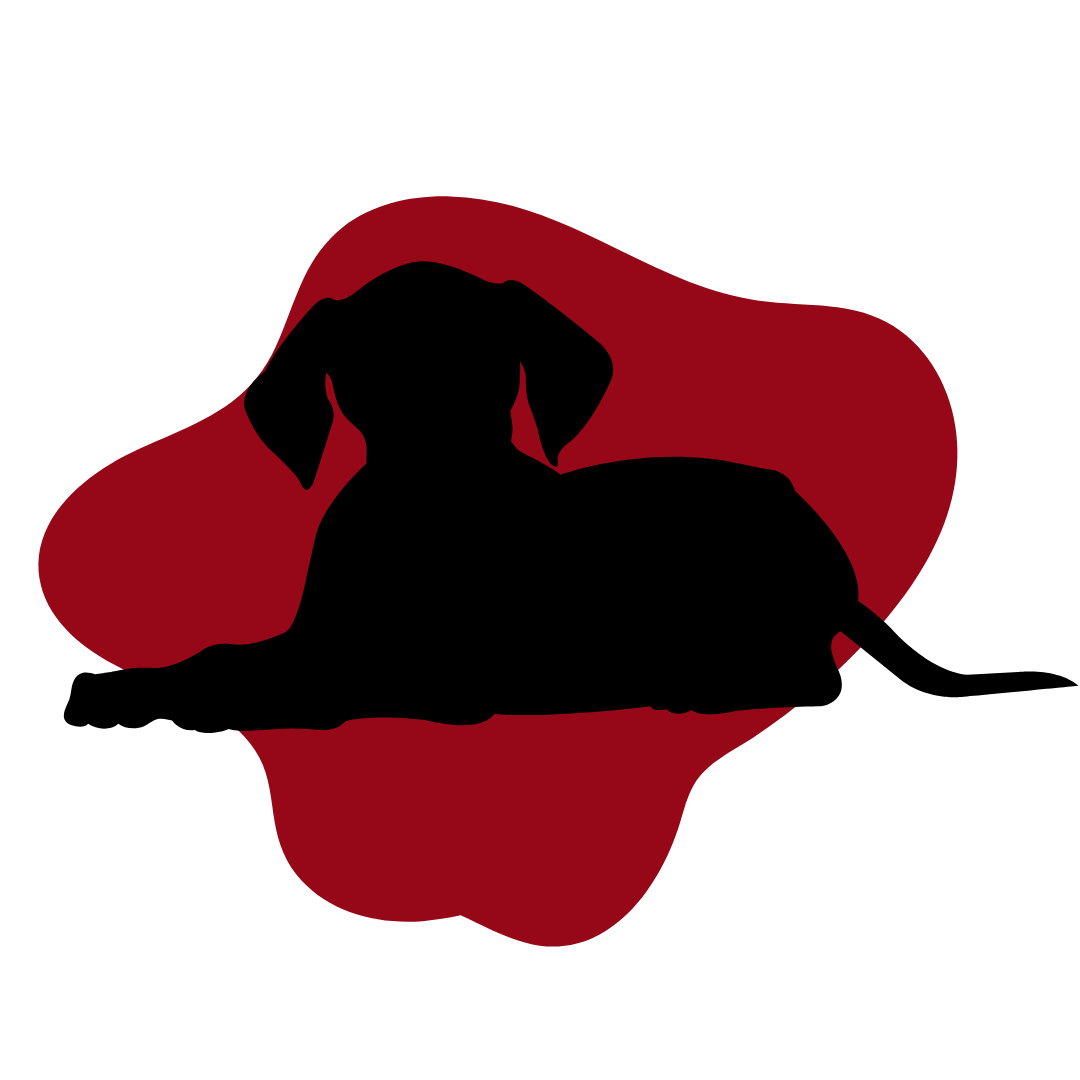 7.png