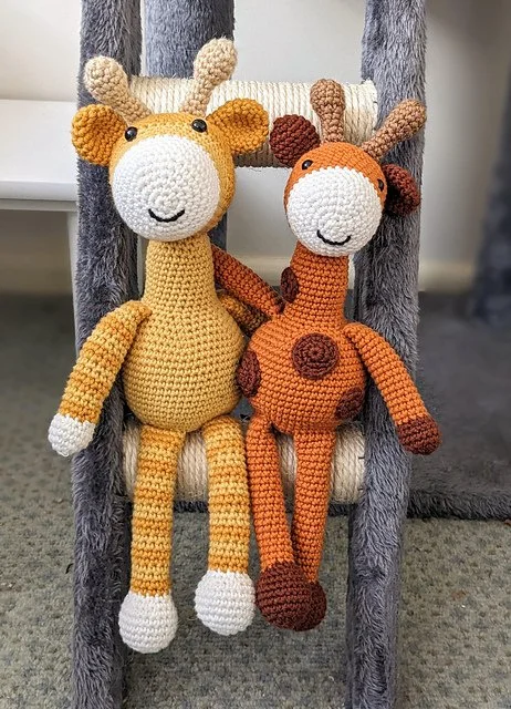 Giraffes02_medium2.jpg