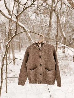 Brown cardigan hanging on a tree branch in a snowy outdoor setting.