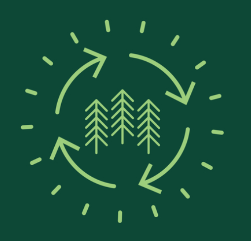 Net Zero.png