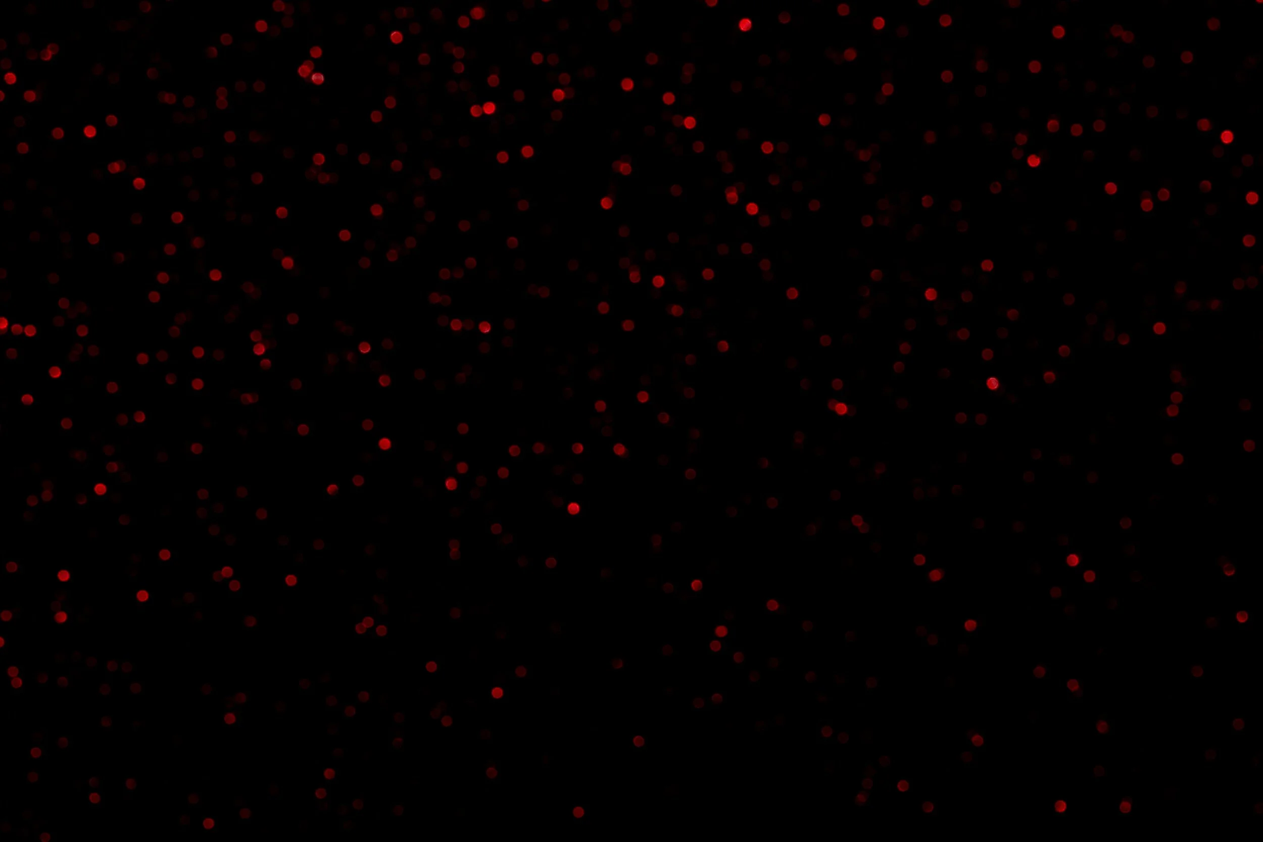 glitter-lights-on-black-background-2023-11-27-05-18-22-utc.jpg