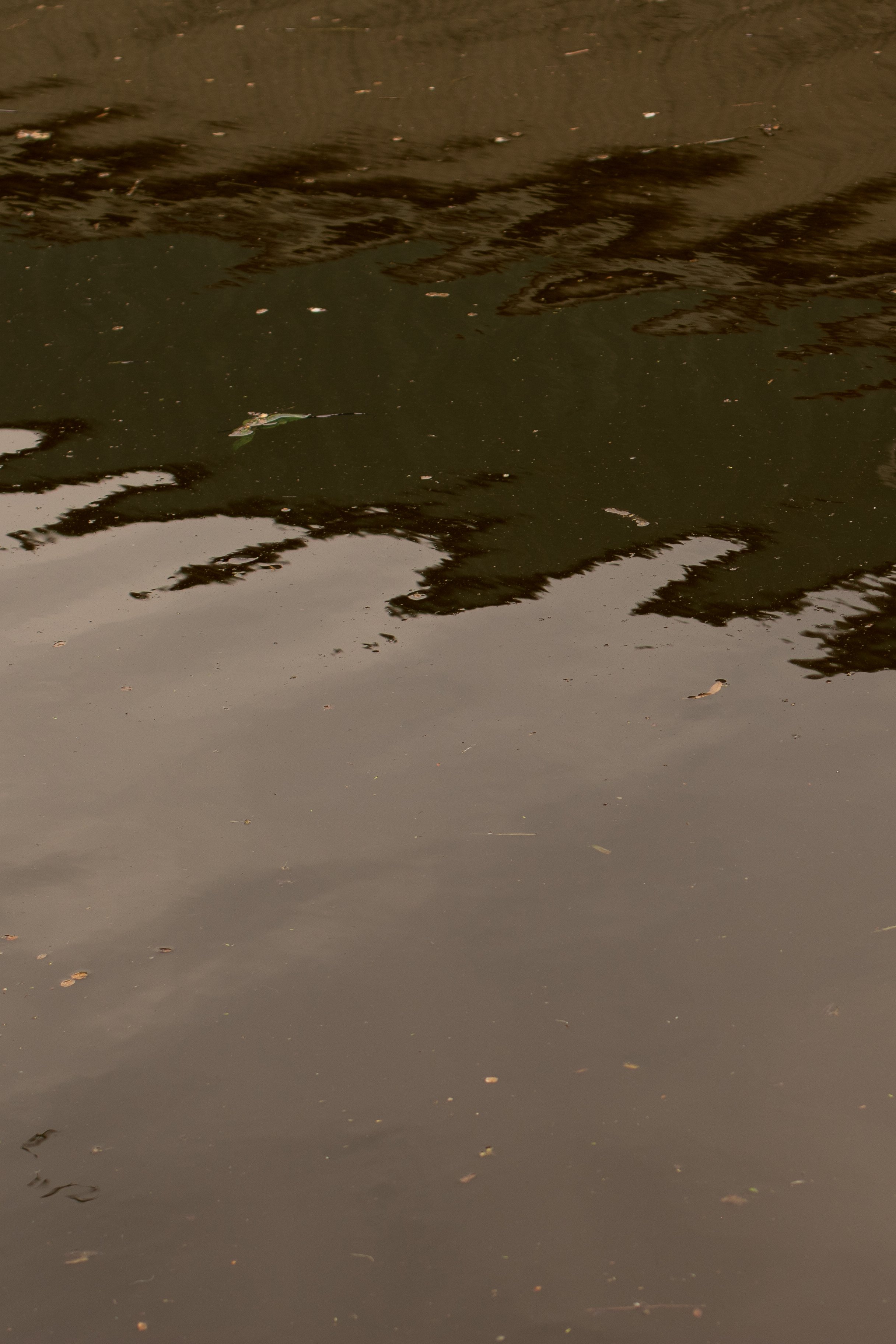 0S5A9226.jpg