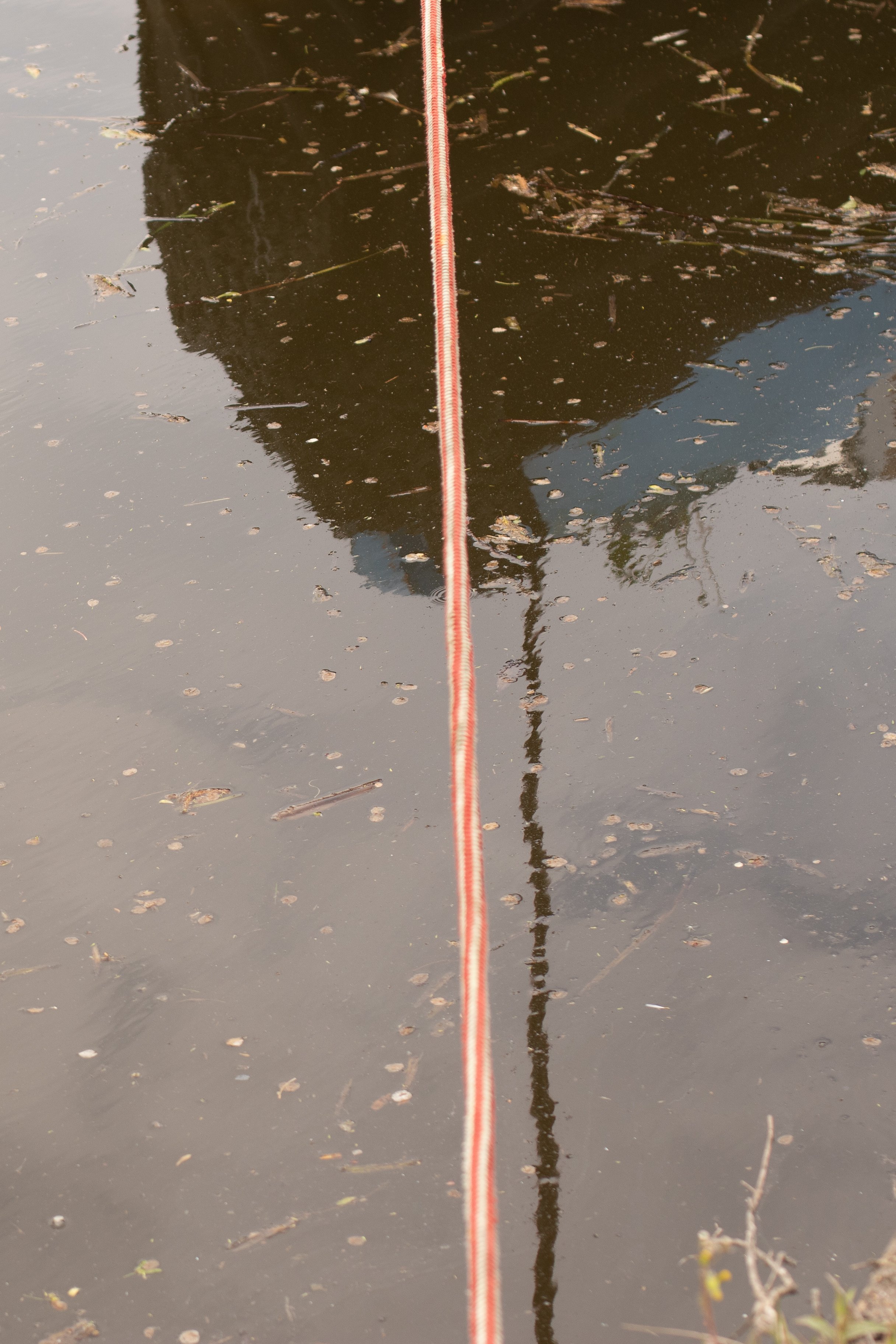 0S5A9218.jpg