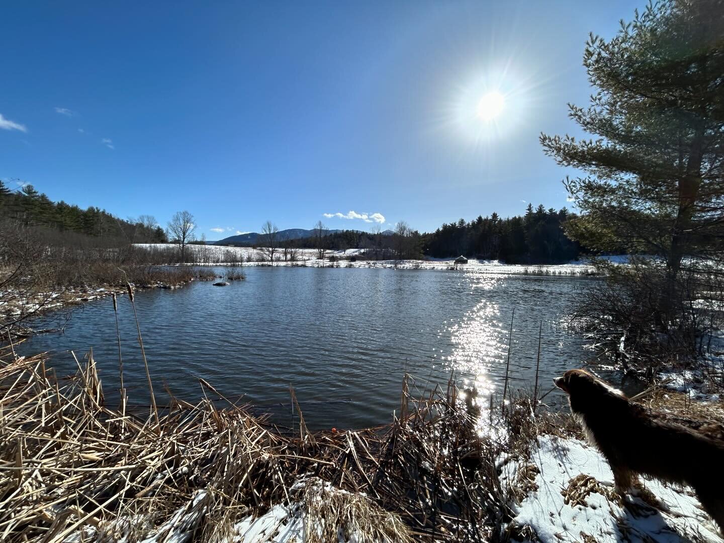 The sunshine and sparkling reflections! ✨ There&rsquo;s something special about the daylight this time of year.