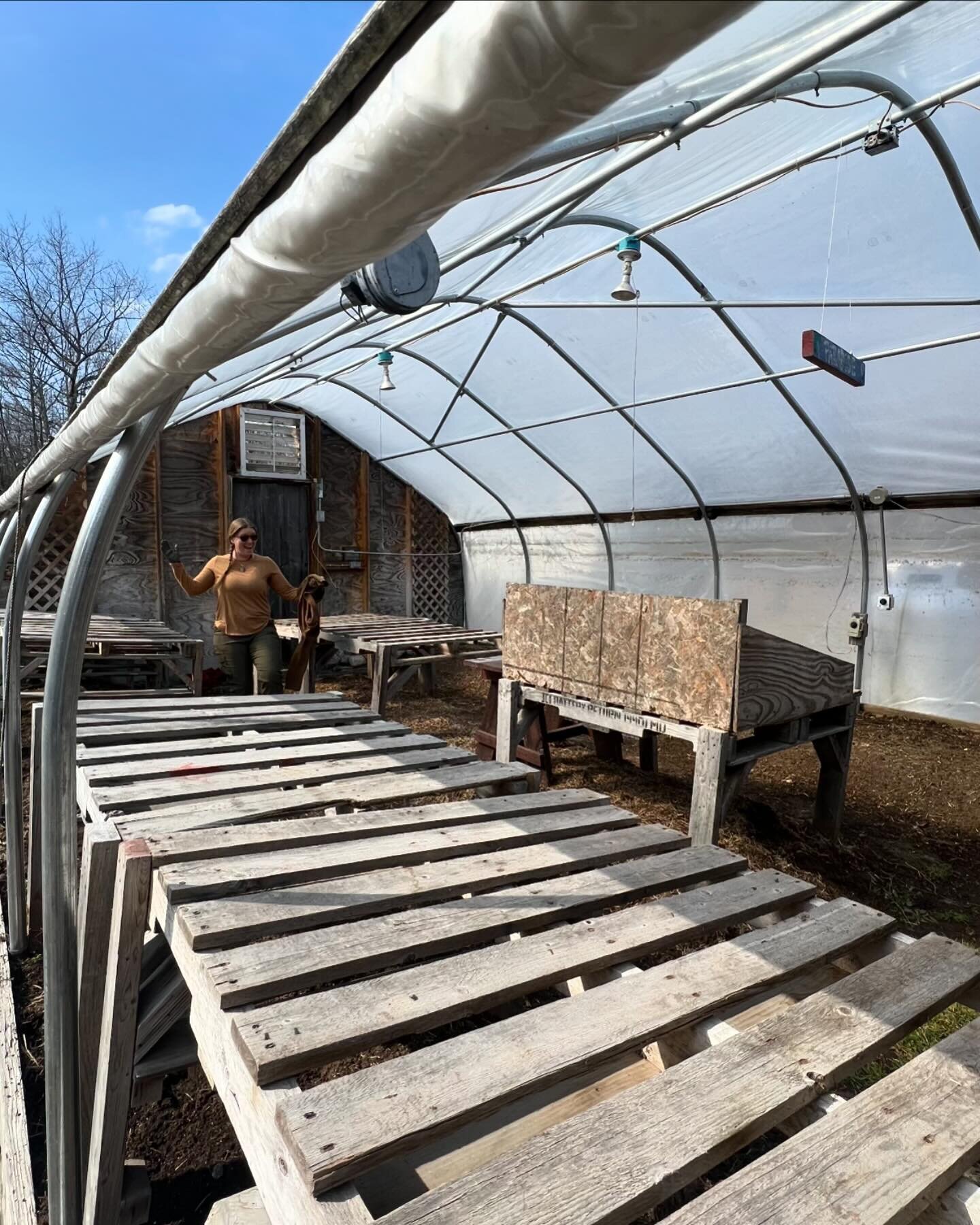 Getting the greenhouse ready! My favorite part of the garden season is about to begin&hellip;
🌱 🌱🌱🌱🌱🌱🌱🌱🌱🌱🌱🌱🌱🌱
