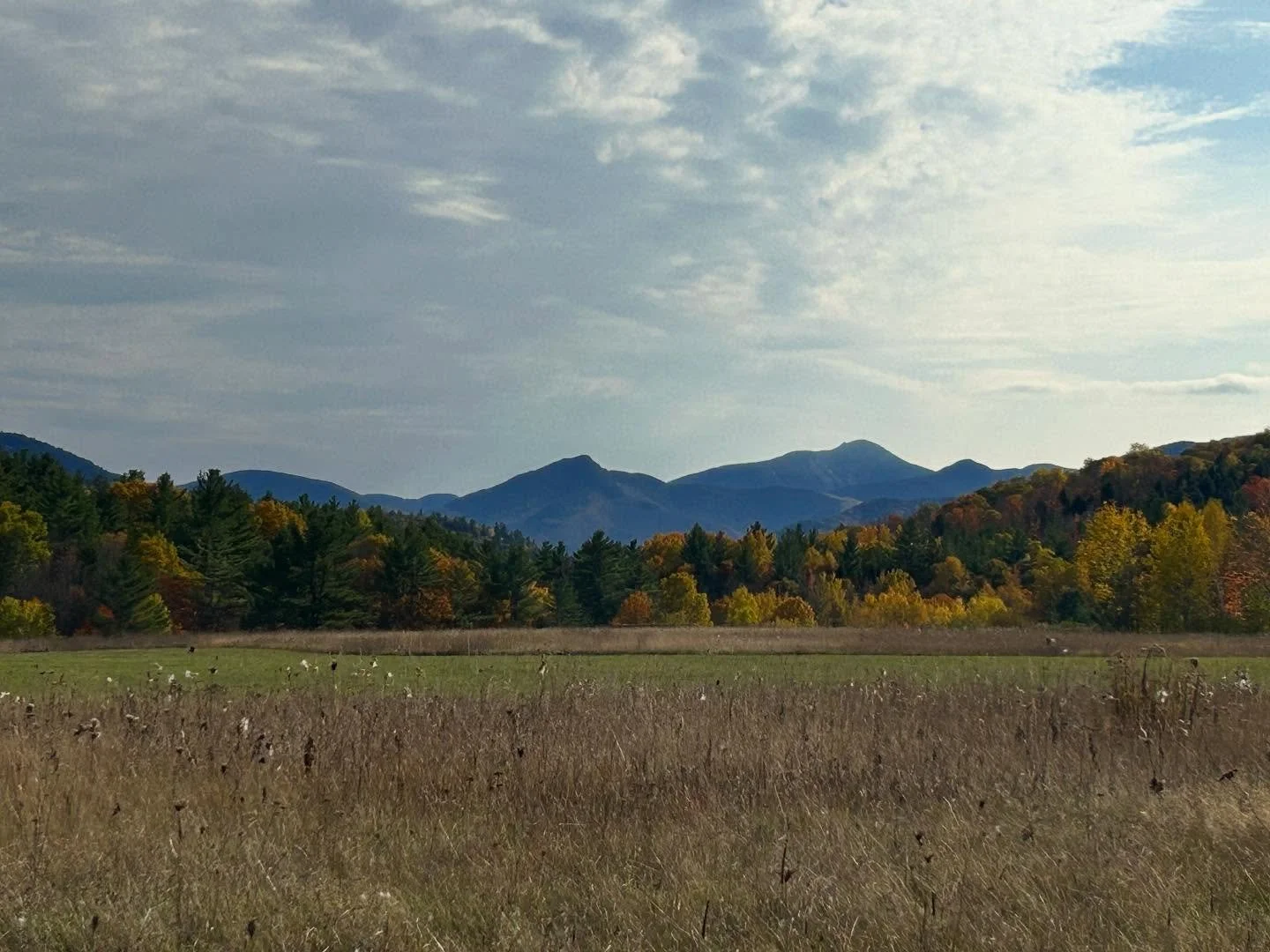 The view across the polo field looking lovely.  Who can name the mountains?