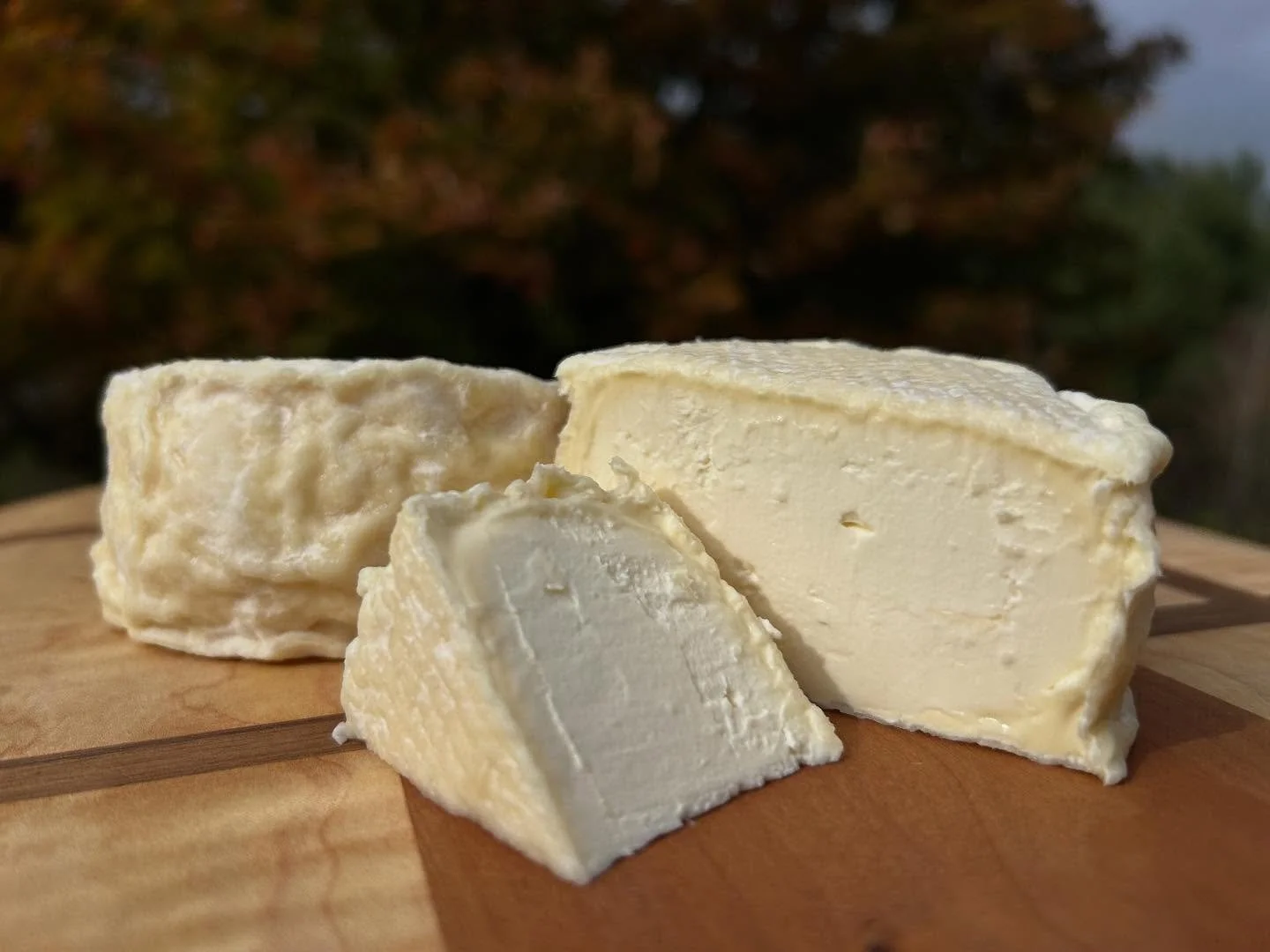We&rsquo;re excited that our dear friend and staff person Casey Galligan of Overflow Creamery is making some yummy cheeses.  We&rsquo;ll have some available for pick up this Wednesday (10/22) at the Inn 10-3 pm.

[Lunchbox]: a soft ripened cow milk c