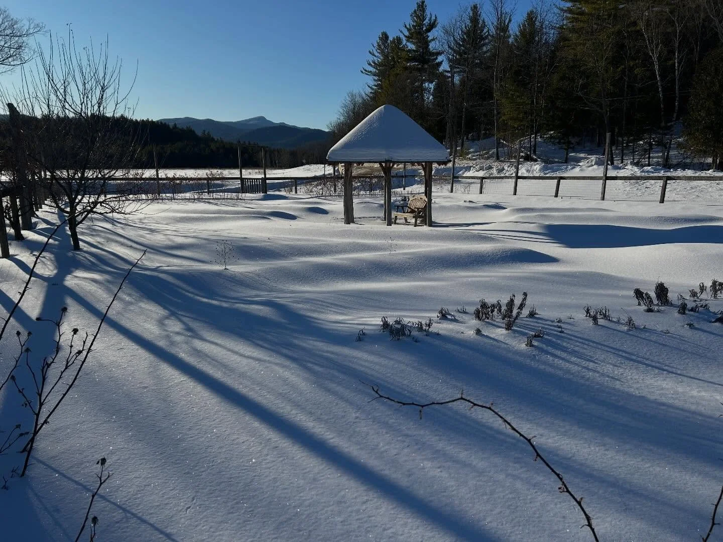 The new seeds for our 2026 gardens have started to arrive! 🙌 It&rsquo;s hard to believe this sparkling frozen landscape will turn into a lush &amp; colorful garden full of abundance.  These photos were taken roughly 6 months apart.