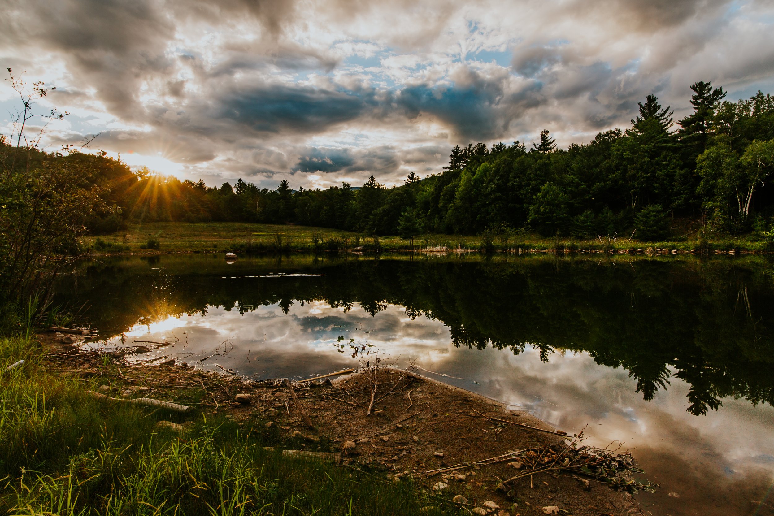 JWM_barkeater-44.jpg