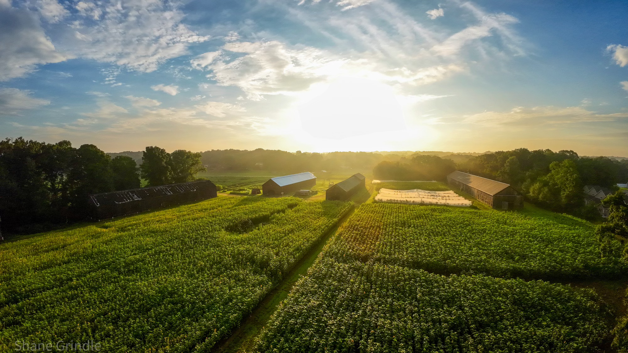 Birdseye view of field and barns