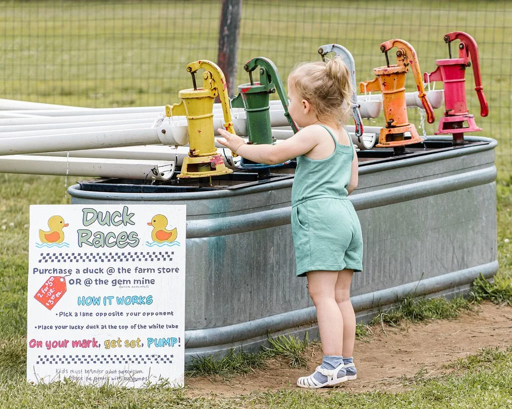 Young girl in teal outfit filling ducks with water at a farm-style duck race station with colorful pumps and a sign explaining how it works.