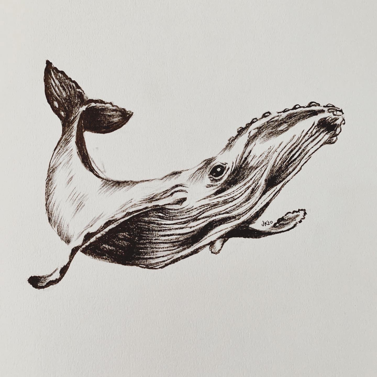 traditional-whale.jpeg