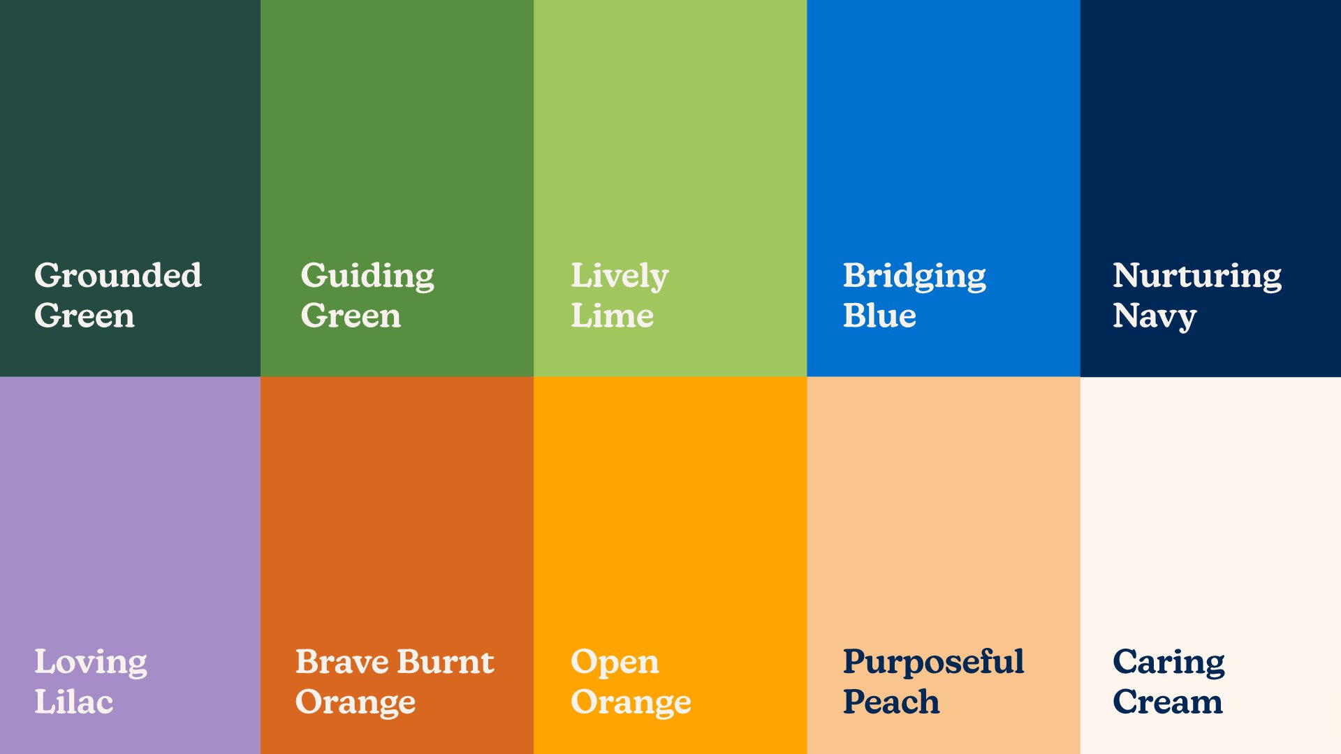 hopebridge-color.jpg