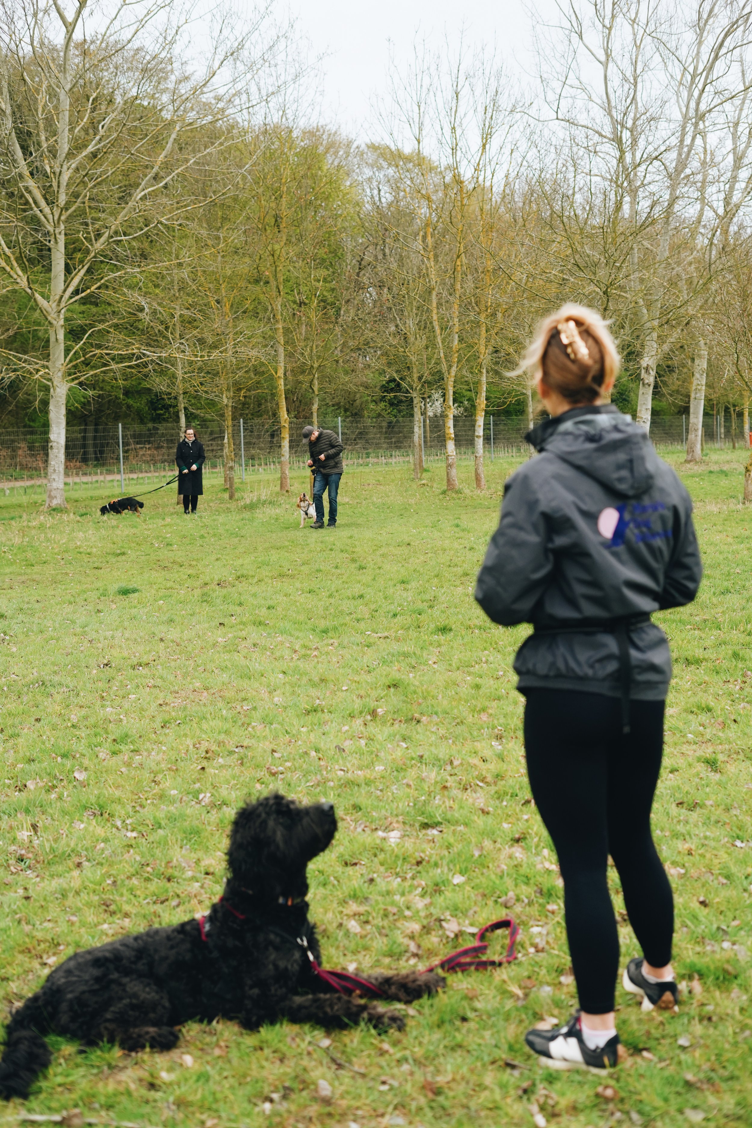 Photo 02-04-2026, 11 48 31 pm.jpg