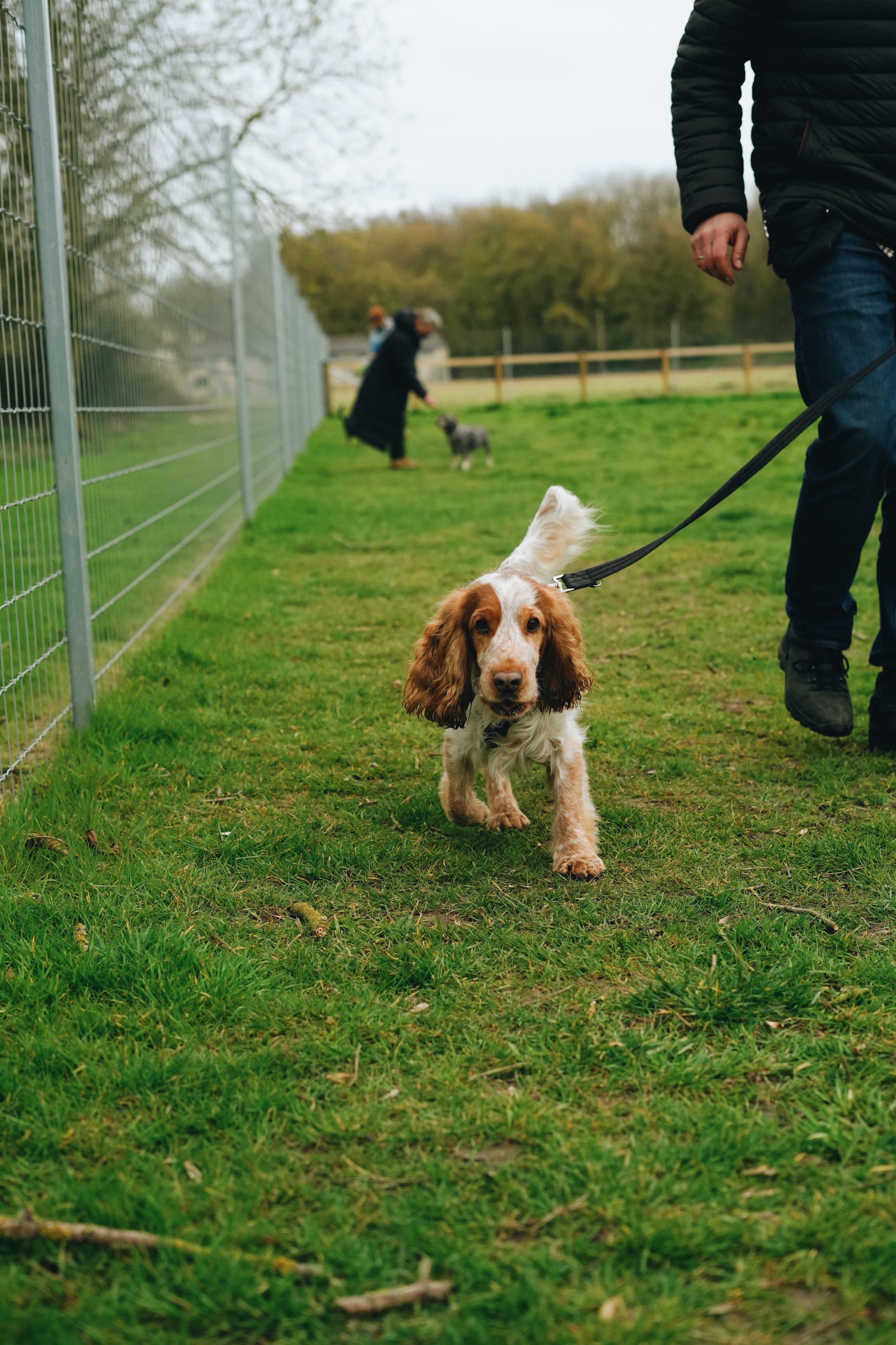 Training Walks