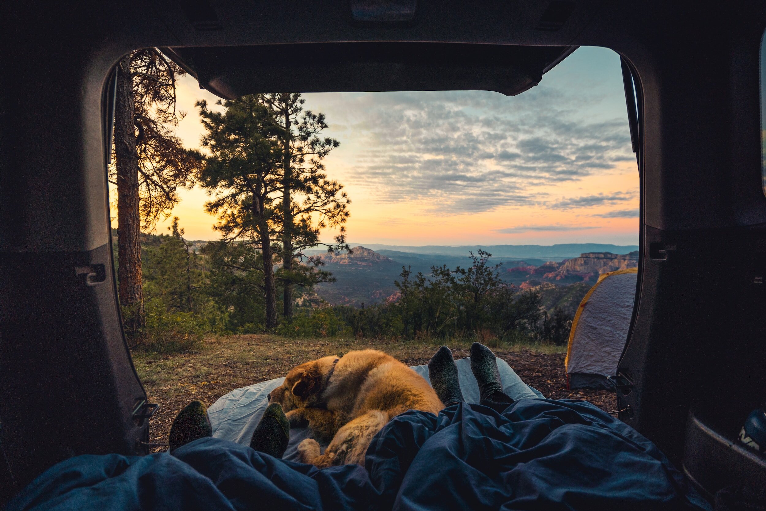 View from the back of a vehicle showing a camping scene with a dog lying on a sleeping pad, two people’s legs, a tent, and a sunset over a forested canyon landscape.