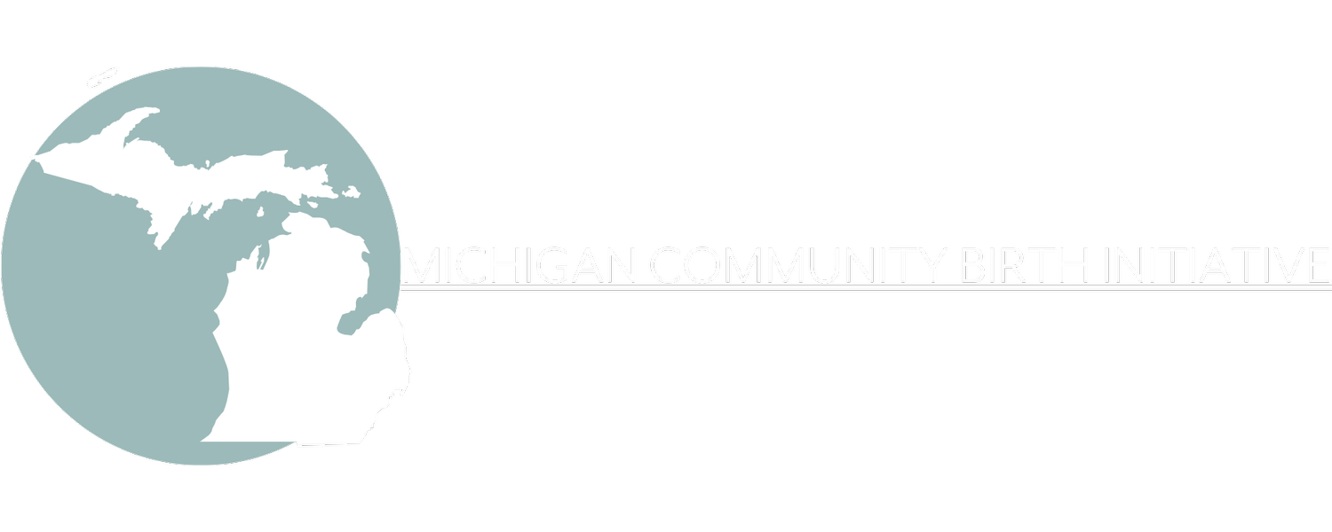 Michigan Community Birth Initiative 