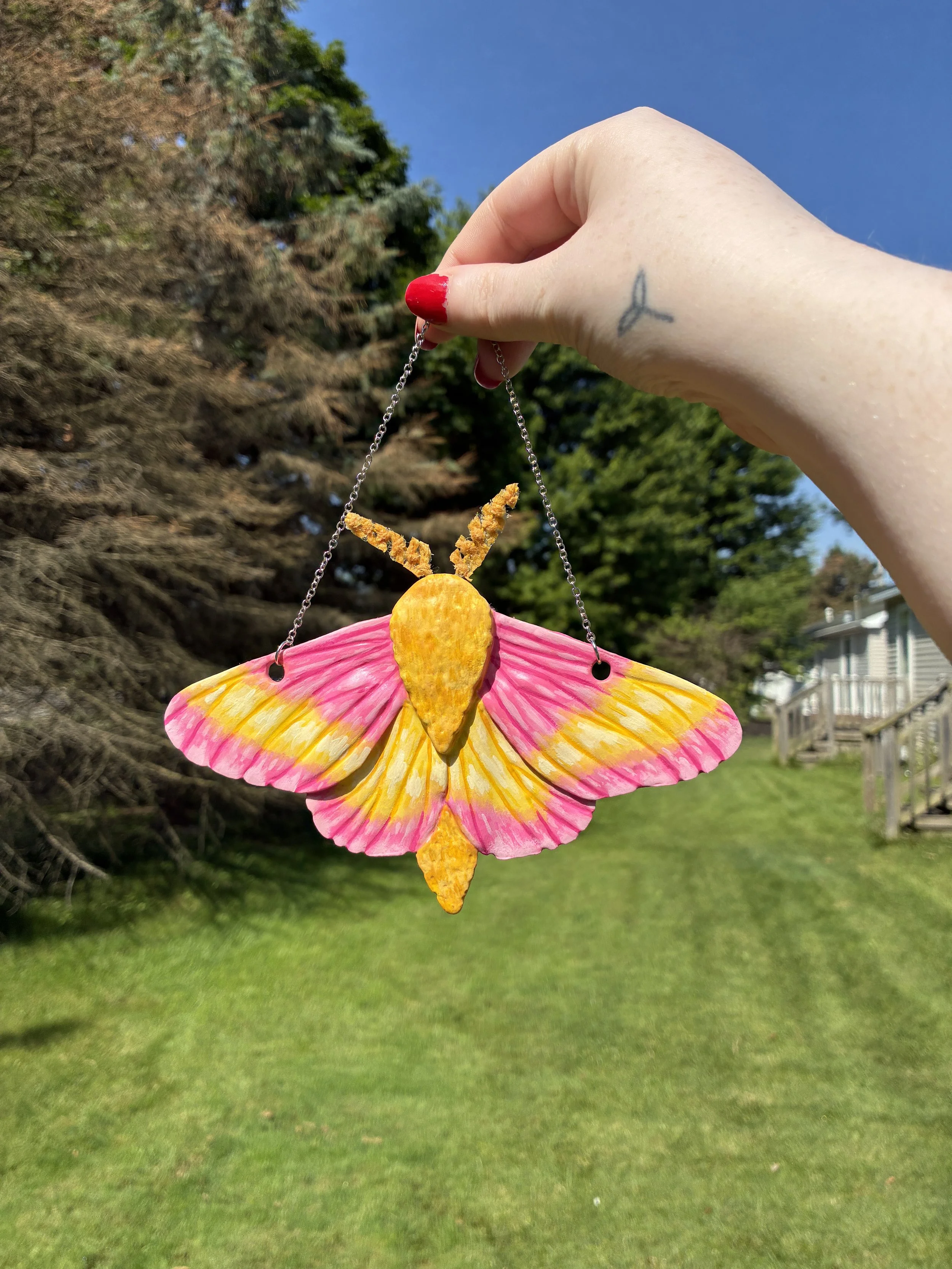 Rosy Maple Moth Wall Hanging