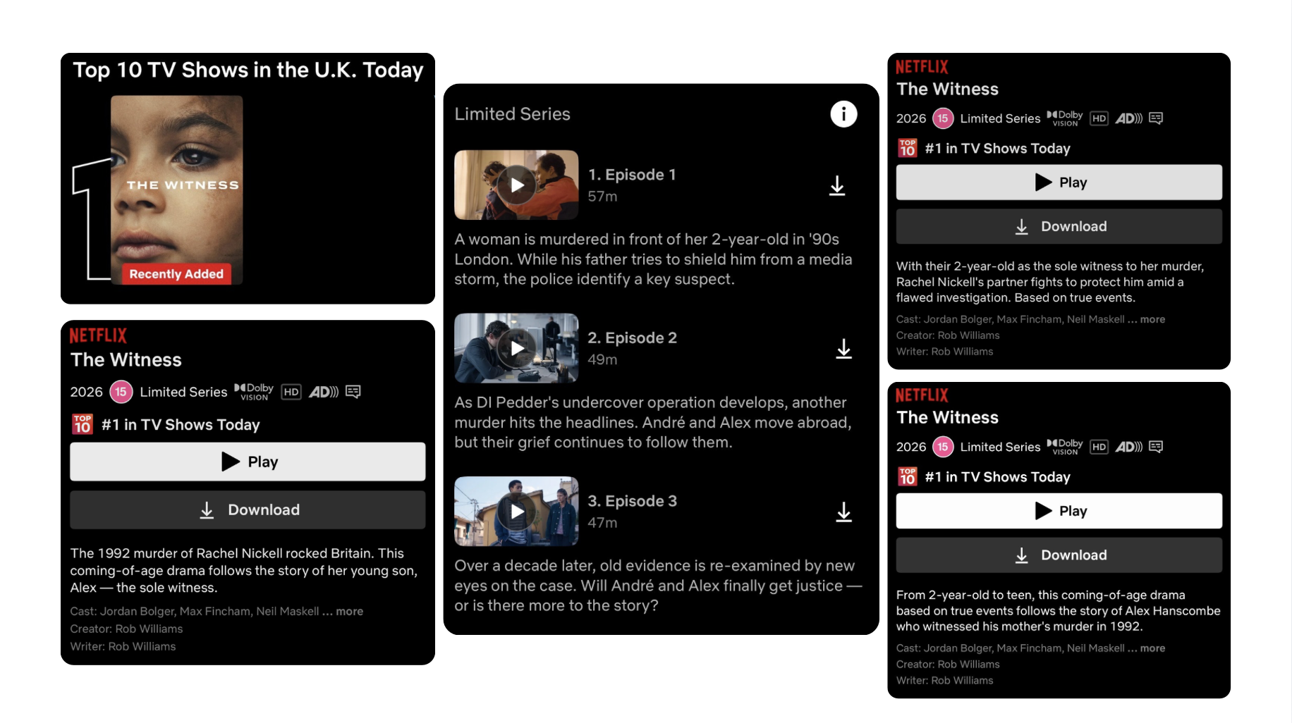 Synopsis variants & episodic copy for 'The Witness'. Genre: True Crime Drama Series.