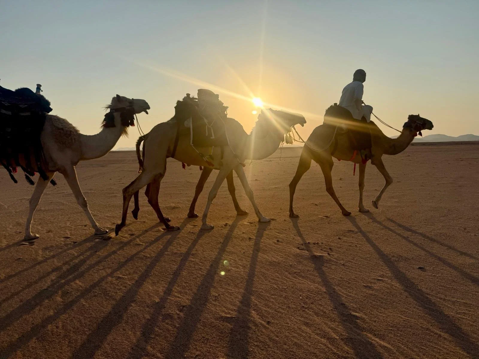 WhatsApp Image 2025-12-16 at 13.04.59 (1).jpeg