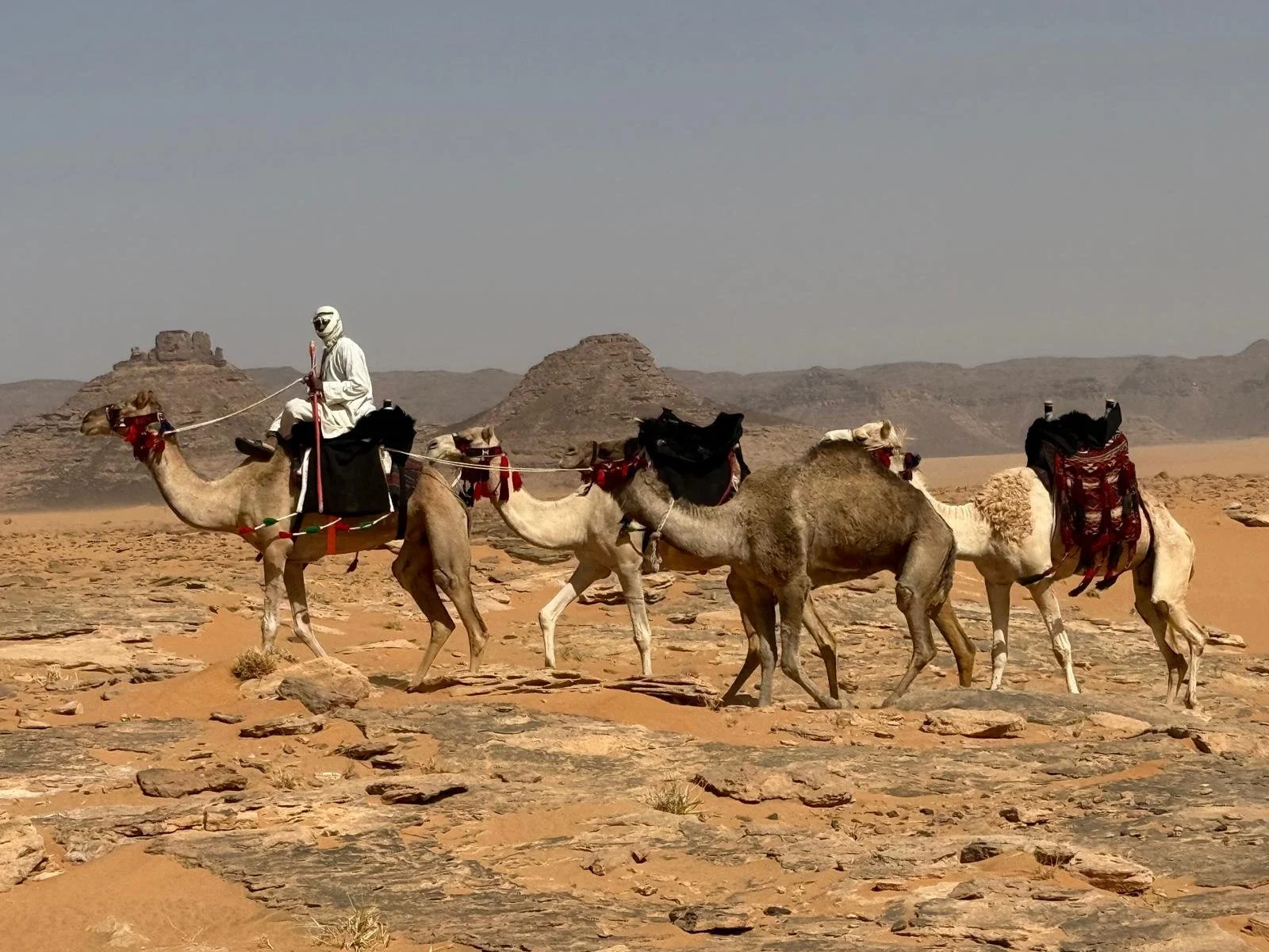 WhatsApp Image 2025-12-16 at 13.04.55 (2).jpeg