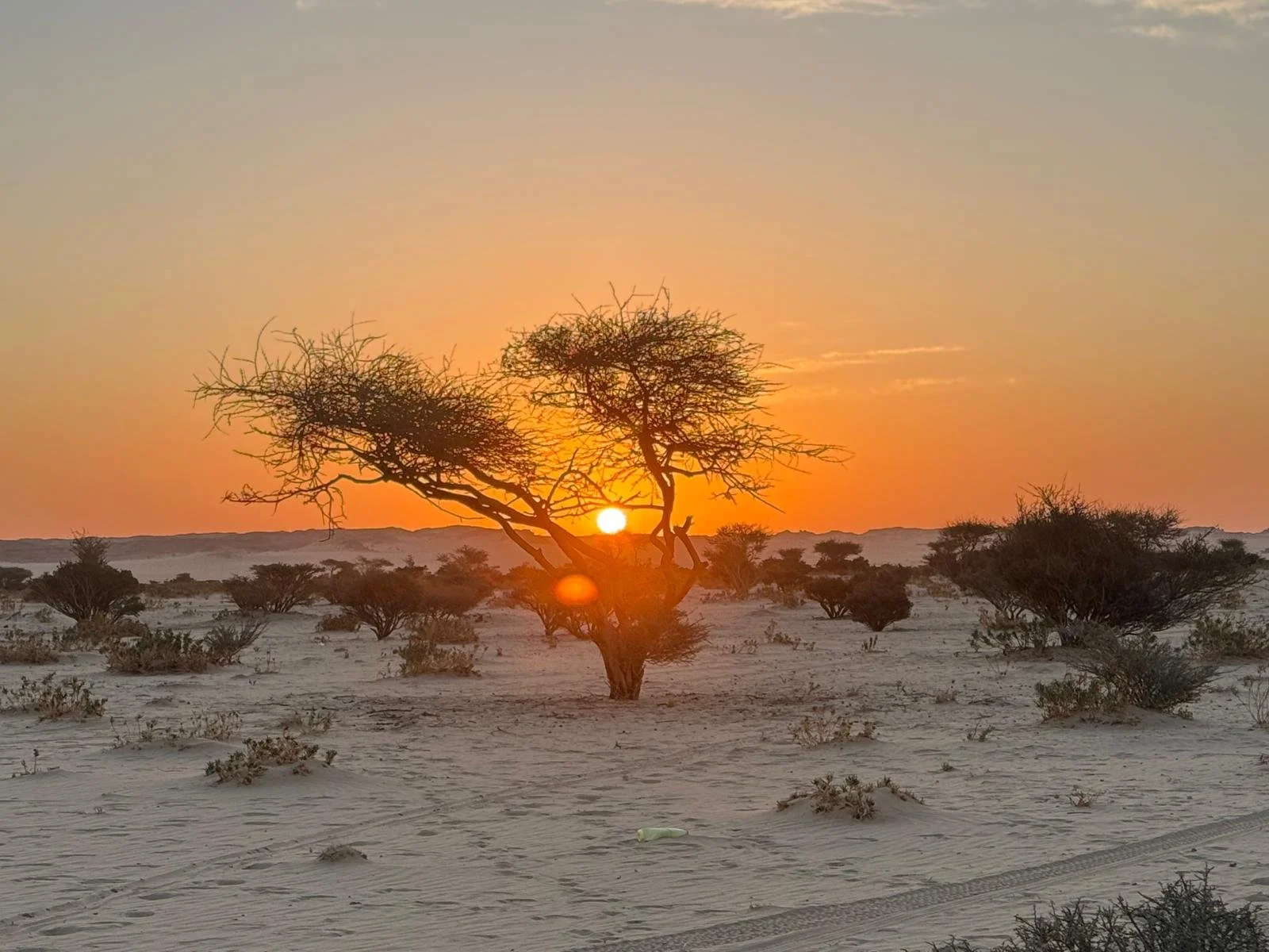 WhatsApp Image 2025-11-22 at 07.17.56.jpeg