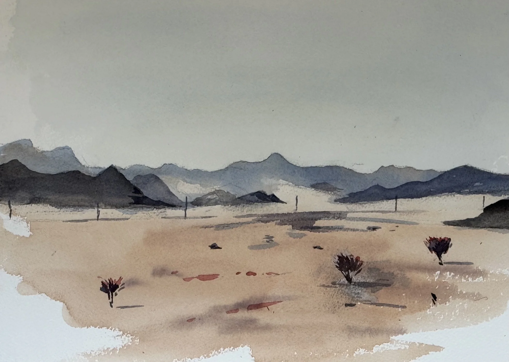 Tathlith 2, Field Study, 19 Nov 2025 .jpeg