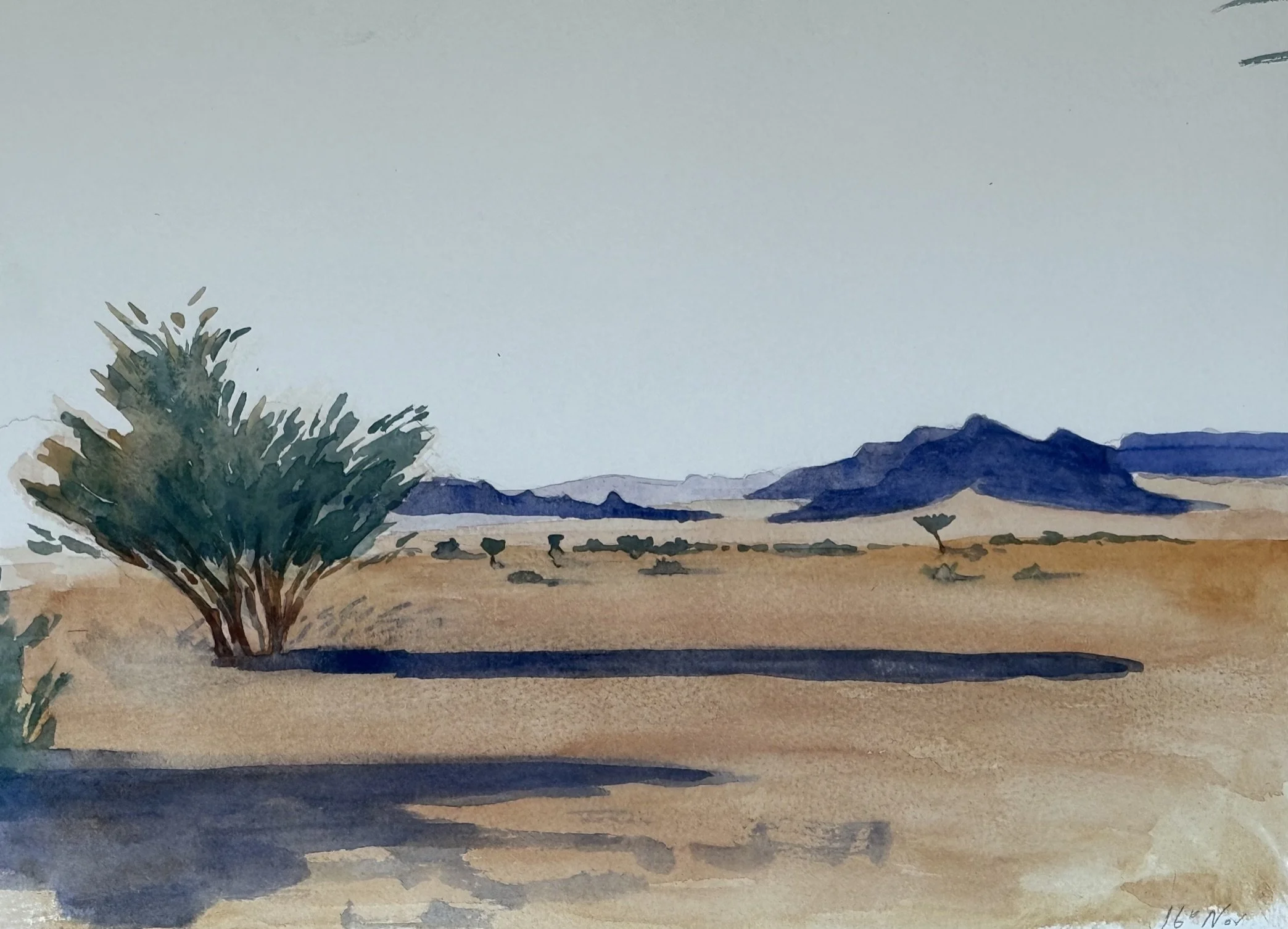 Tathlith 1, Field Study, 17th Nov .jpeg