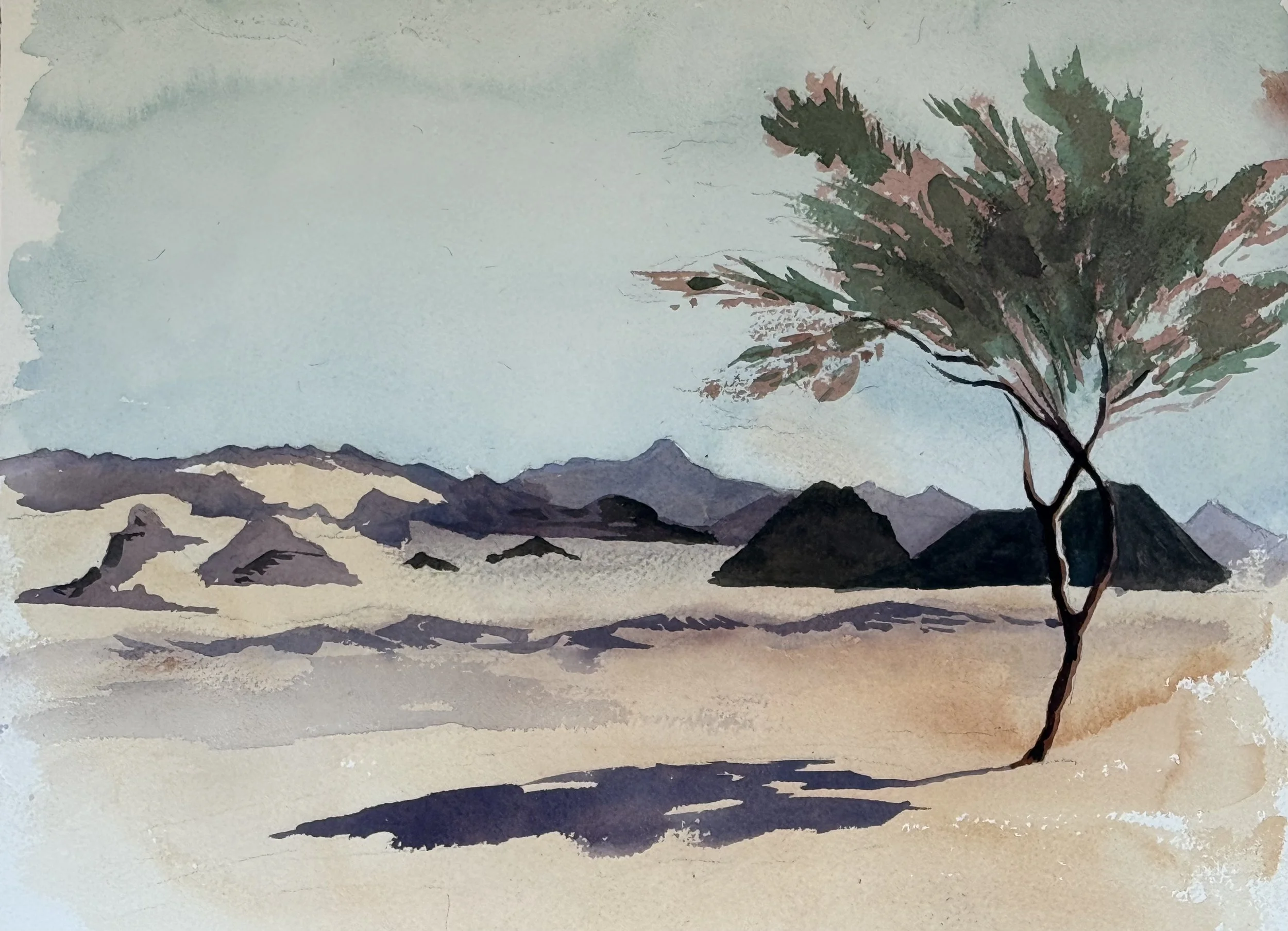 Al Muwayh, Field Study, Dec 2025.jpg