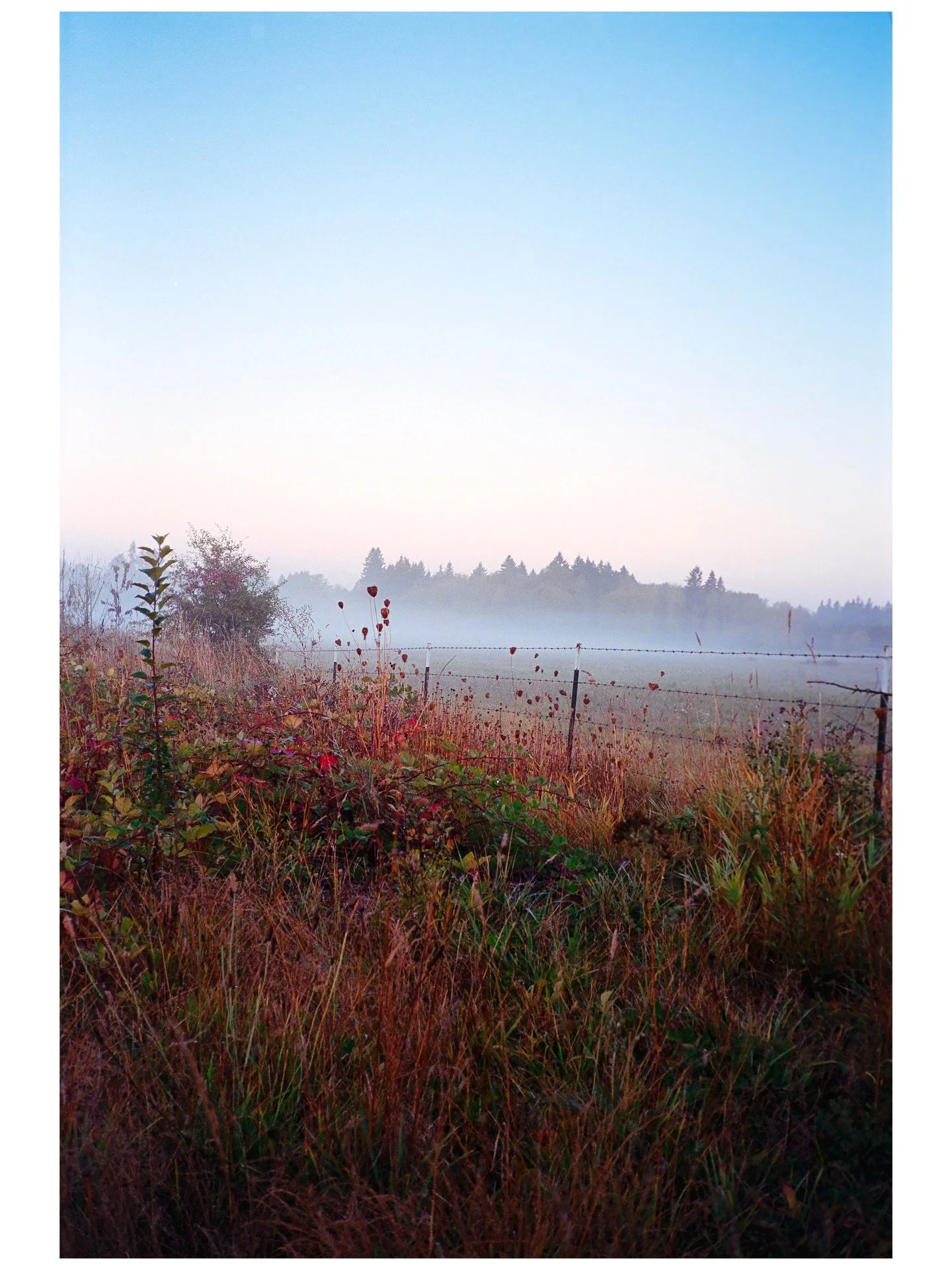 Pacific Northwest Winter #nikonf6 #ektar100 #portra400 #35mm #filmphotography