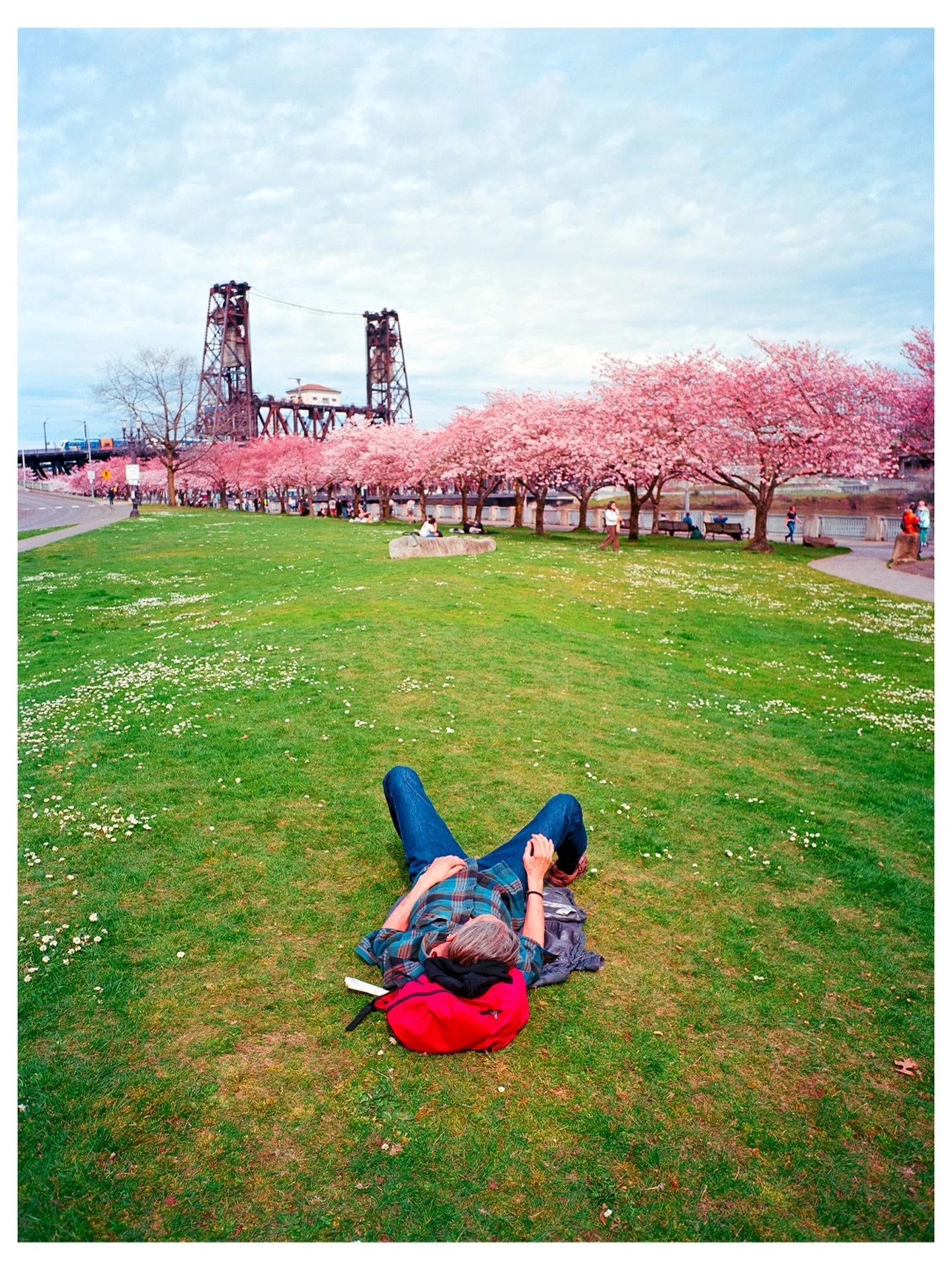 Taking it all in. #ektar100 #fujigs645w #kodakprofessional #mediumformatfilm #portland