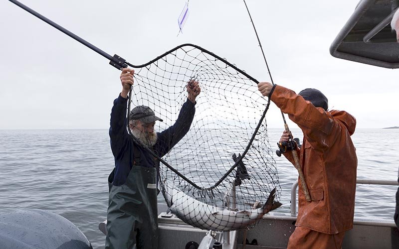PhotoCollection_HI_Bucket List_0008_fish in net.jpg