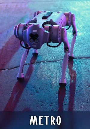 Metro Robotic Dog