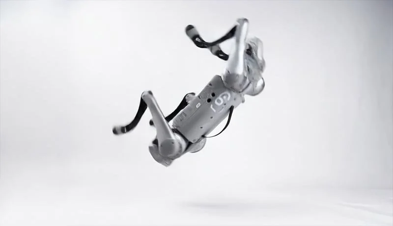 Back Flip