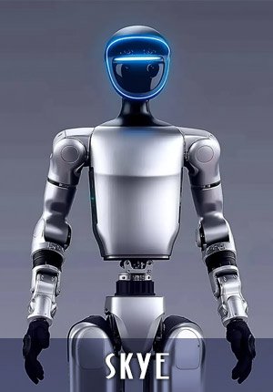 Skye Humanoid Robot
