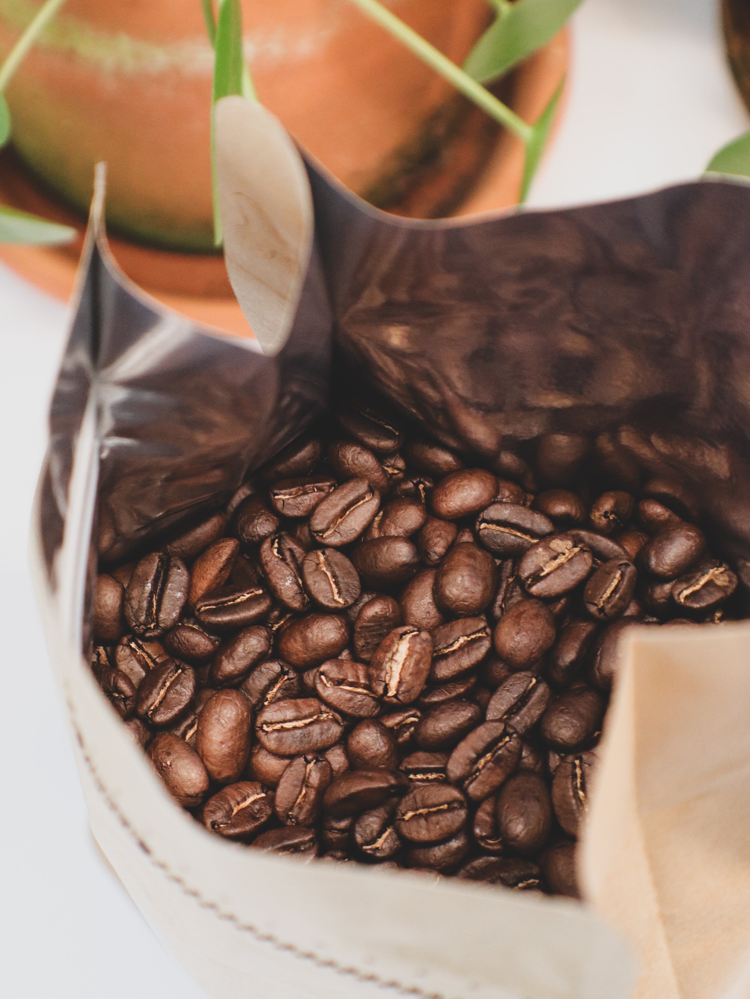 Potters Blend