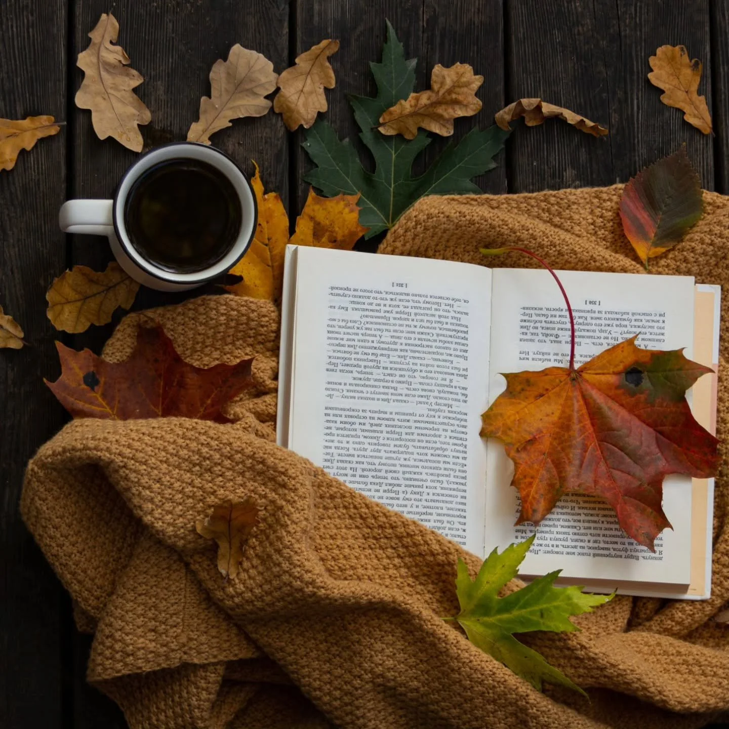 𝗙𝗮𝗹𝗹 𝗺𝗶𝗴𝗵𝘁 𝗷𝘂𝘀𝘁 𝗯𝗲 𝘁𝗵𝗲 𝗯𝗲𝘀𝘁 𝘁𝗶𝗺𝗲 𝗼𝗳 𝘆𝗲𝗮𝗿 𝘁𝗼 𝗿𝗲𝗮𝗱 𝗮 𝗯𝗼𝗼𝗸.⁣
⁣
Crisp air and warm fires, beanies and hot drinks, trees crowned with color. It's so very poetic when you stop to think about it.⁣
⁣
I'm still worki