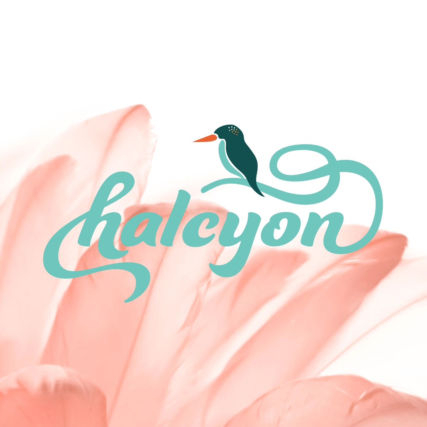 Can I say that every project is my favorite project? Because this one will always be a favorite! 

The branding for @halcyon.therapy was like a colorful, confetti-filled party, celebrating an amazing therapist who helps women and LGBTQIA+ folks rel
