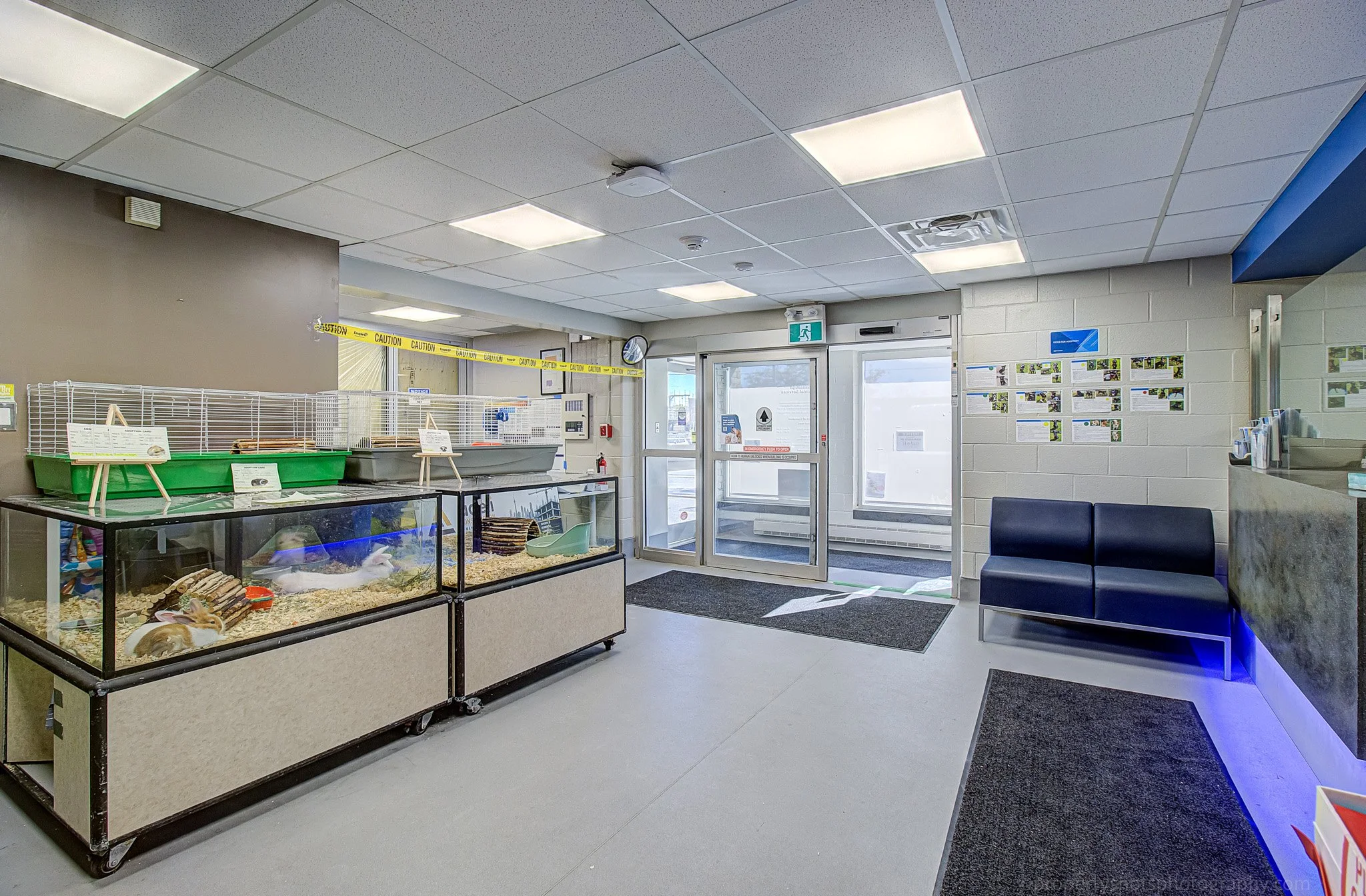 735 central prkway-animal services-10.jpg