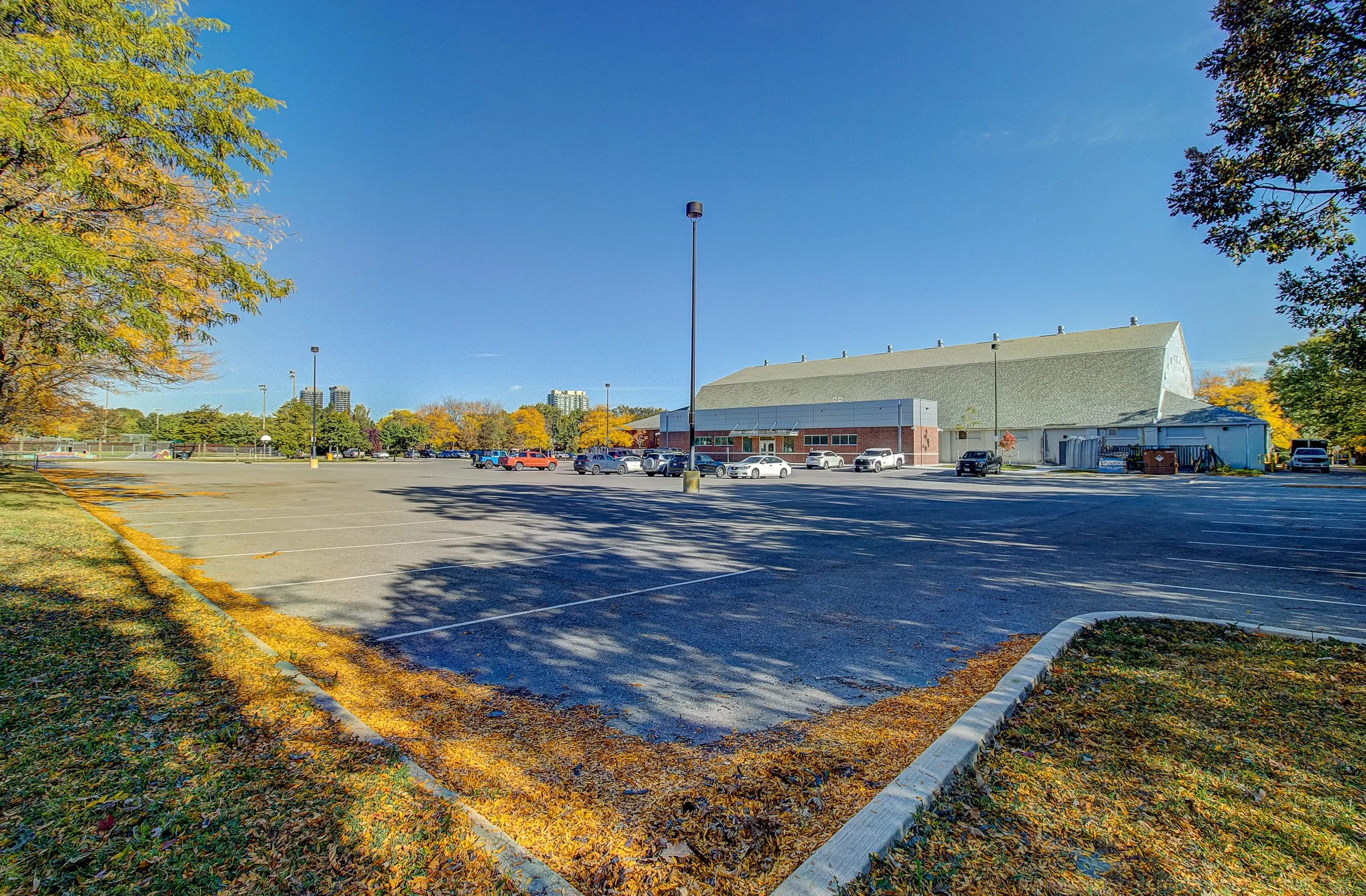 69 elliott Starena-1.jpg