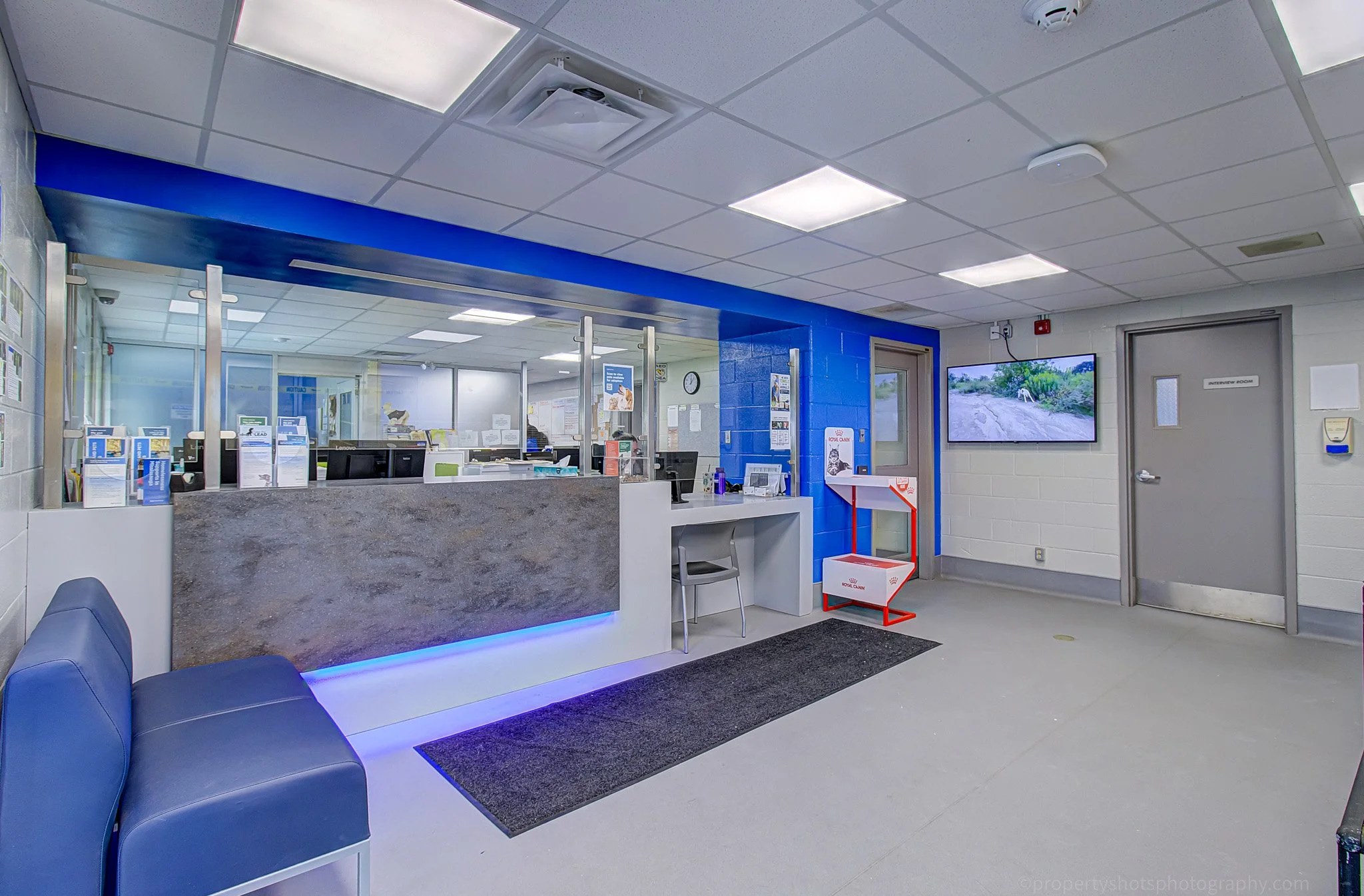 735 central prkway-animal services-8.jpg