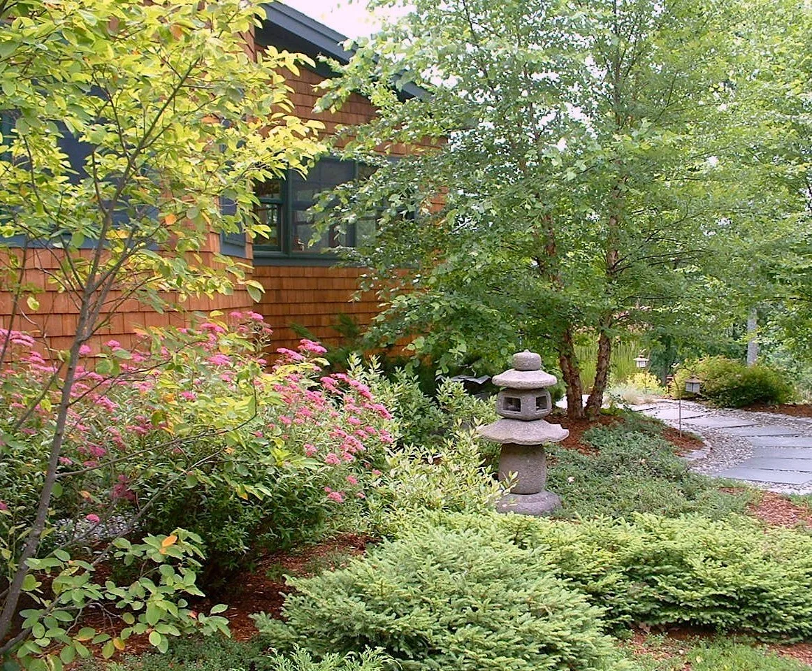 tane cropped copy 2.jpg