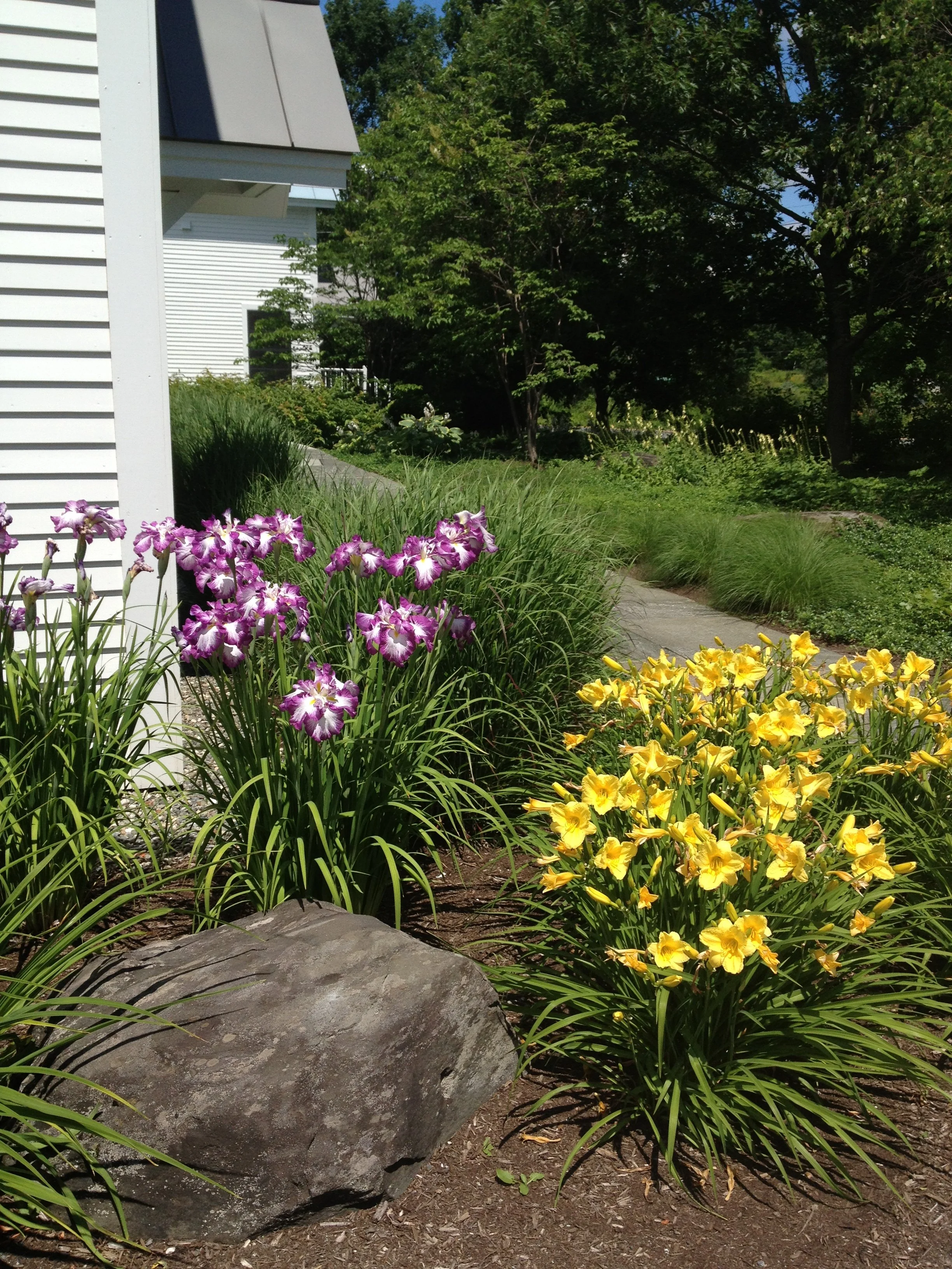 iphone july 2014 089.JPG