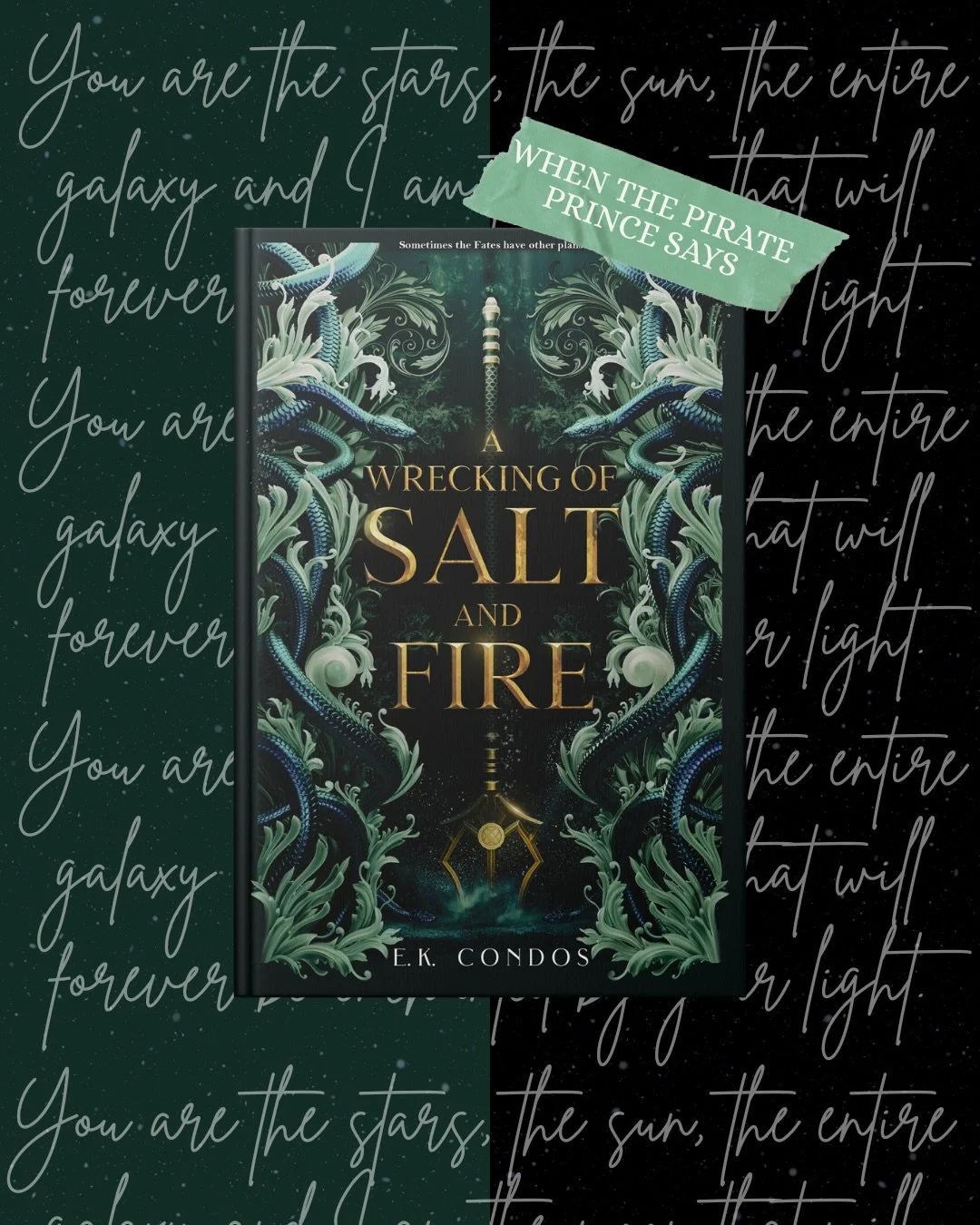 When Katrin Drakos is taken by The Prince of the Lost Isles, she must decide who she can trust and who the real enemy is as she sets out to save the world of Odessia from a lingering evil.

A Wrecking of Salt and Fire is Available Now in all formats 