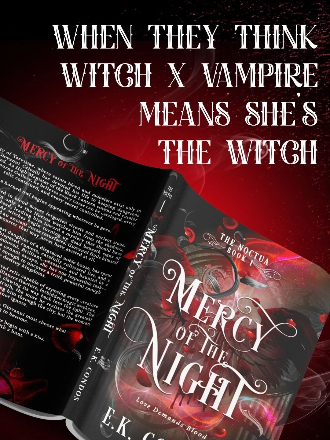 Okay okay but SHE&rsquo;S THE ST@LKER OBSESSIVE VAMPIRE AND HE&rsquo;S THE NERDY WITCH BOI

Some love stories begin with a kiss.
Others begin with a hunt.

In Tarvisiae, saints bleed, monsters are supposed to be myths, and Giovanni Crivelli has spent