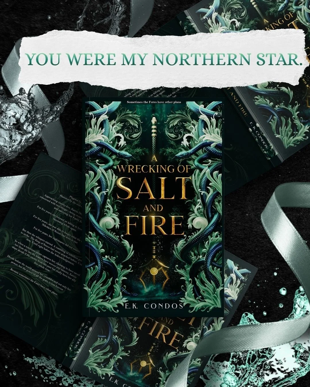 Since there are a lot of new faces here for my upcoming witch x vampire book, you might not know that I have a series out that's inspired by Greek Mythology and Pirates of the Caribbean🔱 Oh do I have the series for you 🏴&zwj;☠️🌊🔱

Welcome to the 