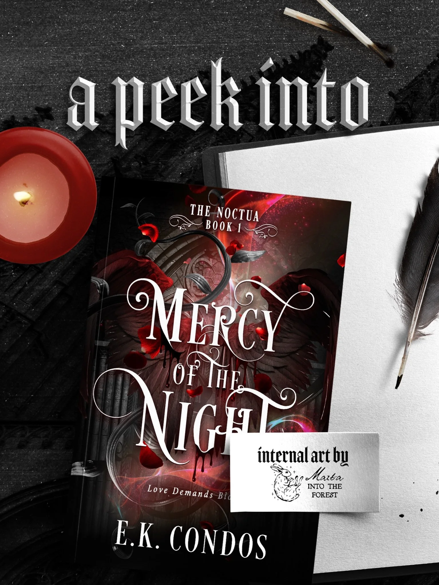I have had the absolute fortune to work with the amazingly talented @marta.intotheforest on all of my books and her line art for Mercy of the Night are some of my favorites to date! I got these a year ago&hellip;yes, you heard that right&hellip;and I