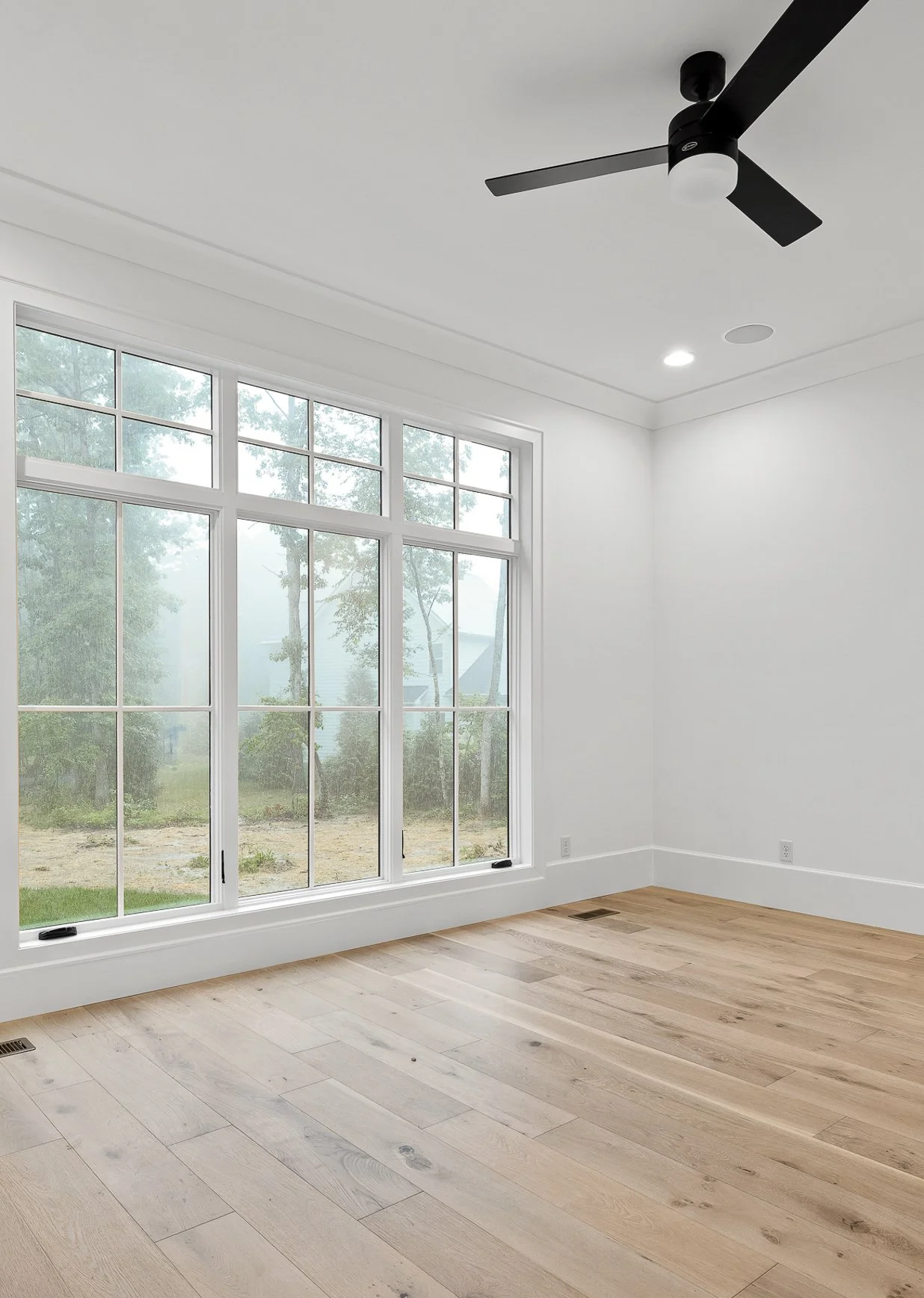 Shackleford Edit-3.jpg