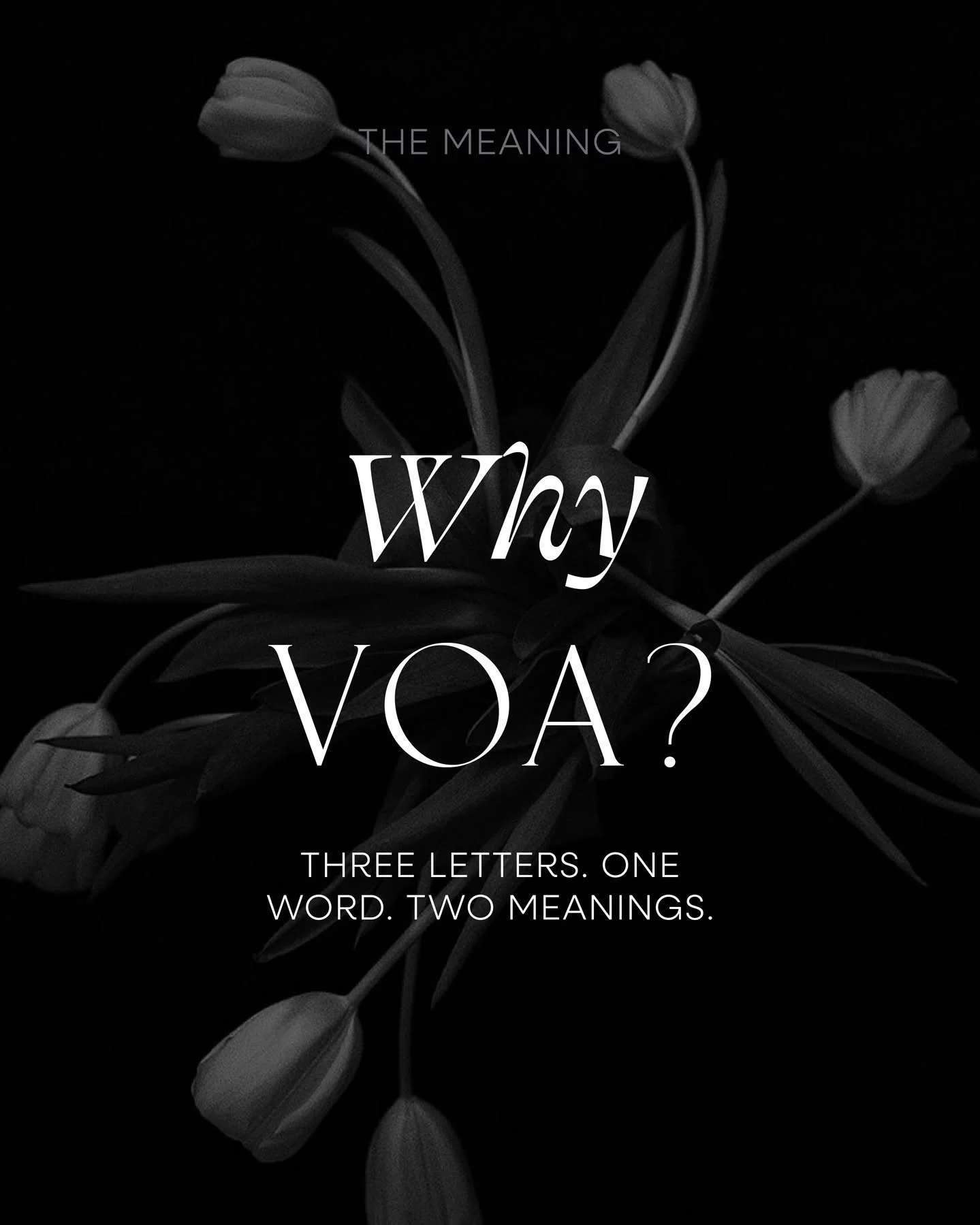 Defining the name for your own studio can be tricky. We wanted something that deeply resonated with us.

There's always a reason behind a name and ours holds two.

VOA comes from the founder's name, Vitoria OliveirA &mdash; the first, middle, and las