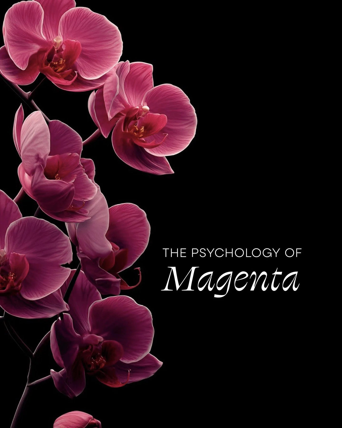 In branding, magenta signals transformation. It belongs to brands in motion, the ones that have something to say and the confidence to say it in a color that doesn't ask for permission.

But like any powerful tool, it only works when it's used with i